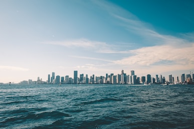 a view of a city from the water