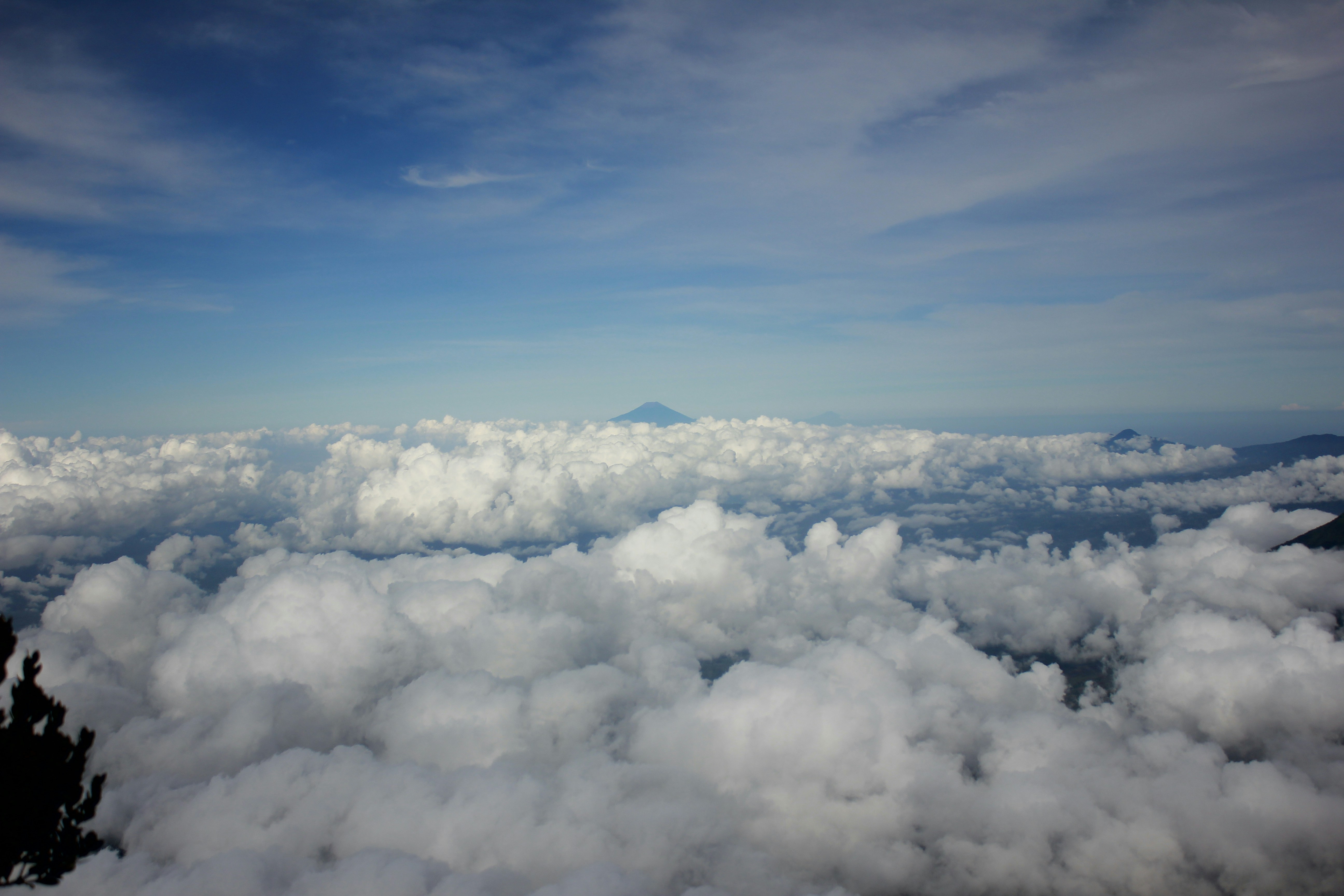 Photo by rijalfaqoth96