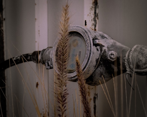 A weathered and rusted analog meter is mounted on a wall, partially obscured by tall, dry grass. The meter is connected by a black cable and appears unused, with a textured, aged surface.