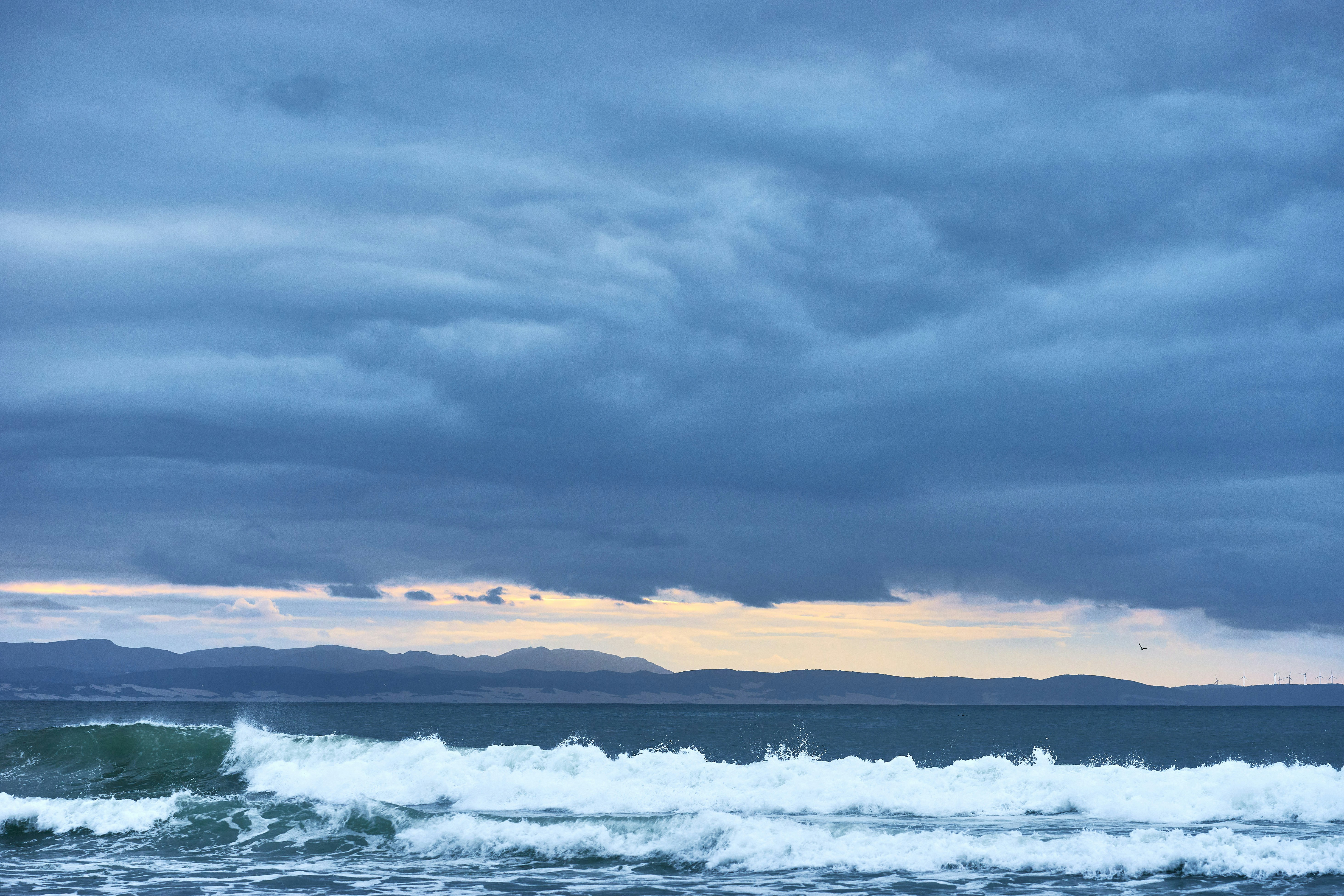 Photo by wolfgang_hasselmann