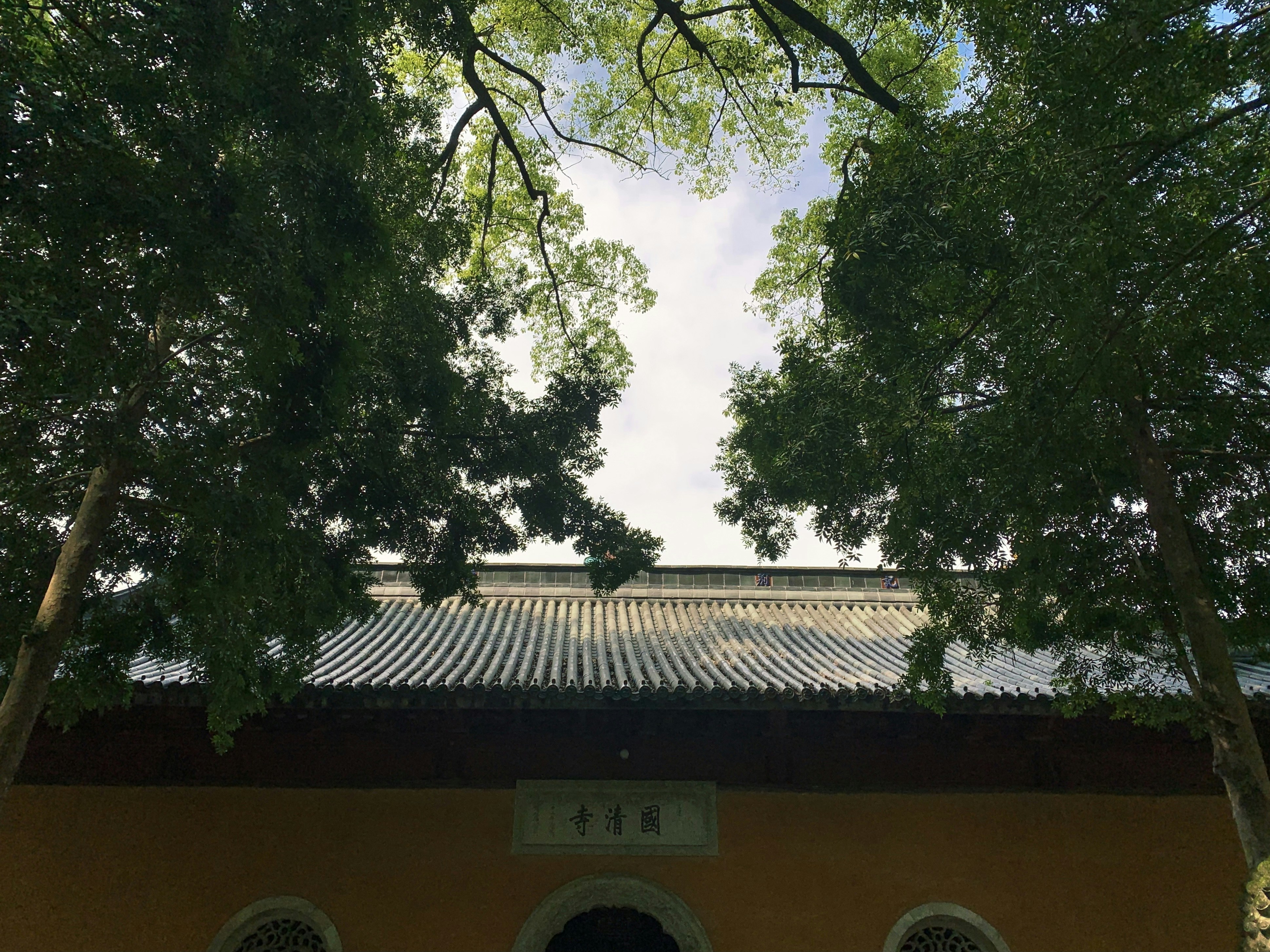 Photo by nanyicheng