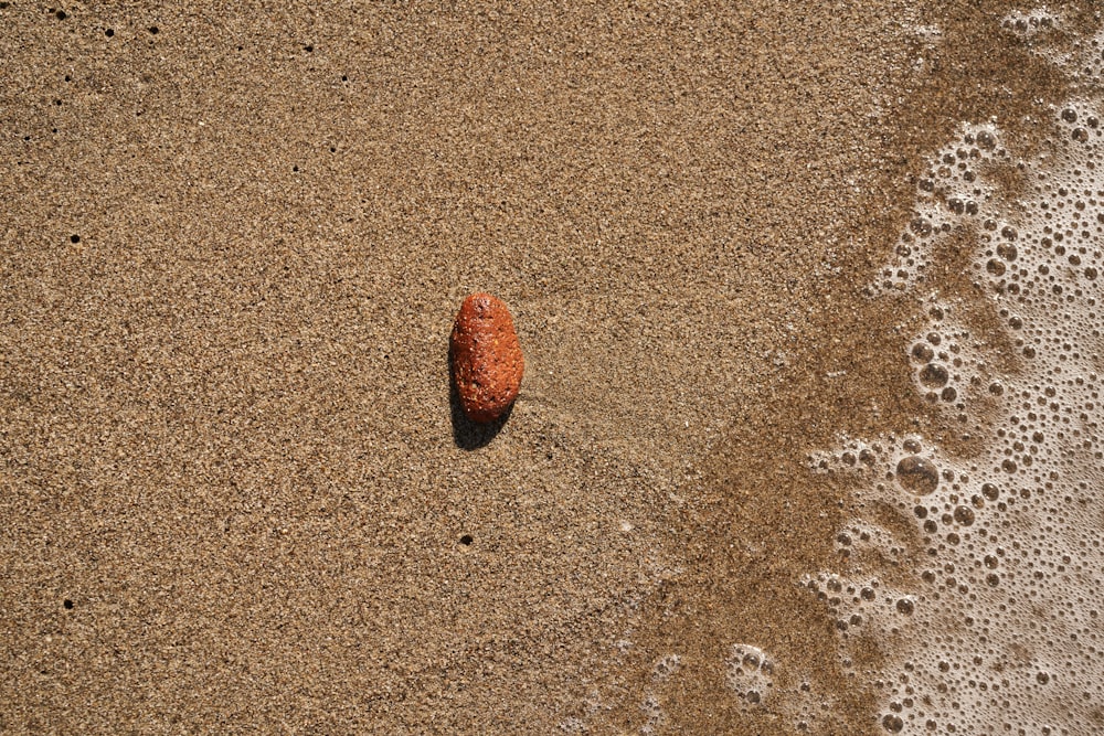 a rock on a sandy beach next to the ocean