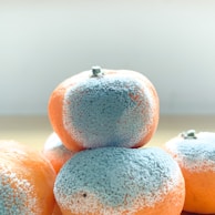Several oranges covered in patches of blue and white mold, arranged in a small pile on a light-colored surface.