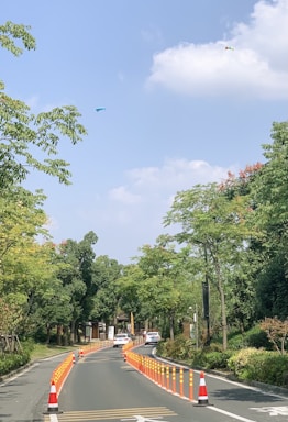 A curving road is lined with orange traffic cones and flanked by tall, lush trees. Two white vehicles are driving down the road. The sky is blue with a few scattered clouds, and there are kites flying high above.