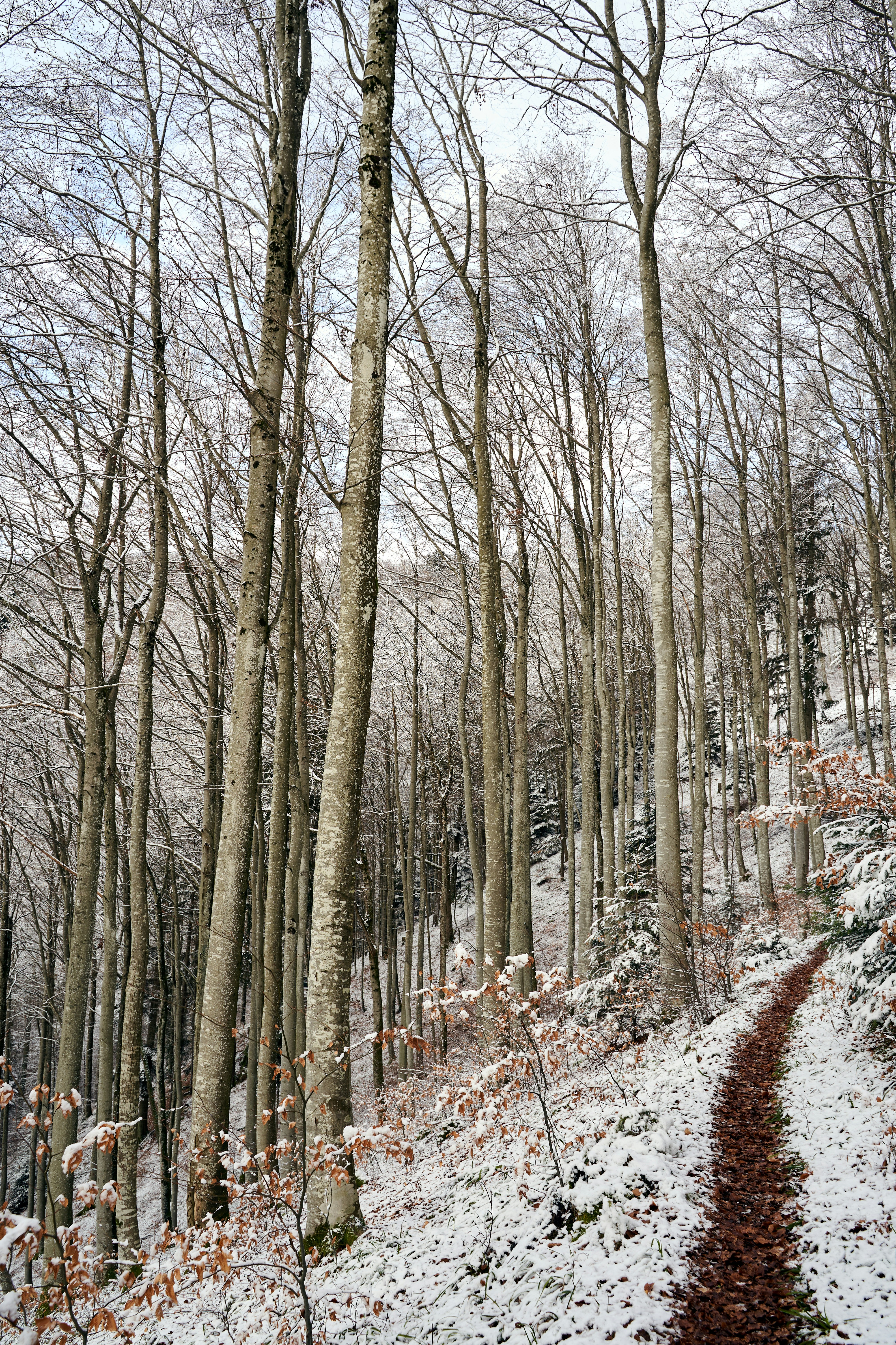 Photo by wolfgang_hasselmann