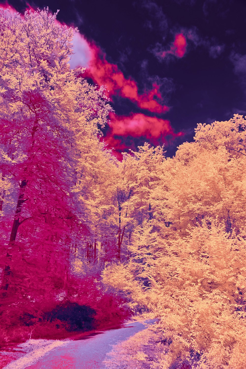 a infrared image of a road surrounded by trees