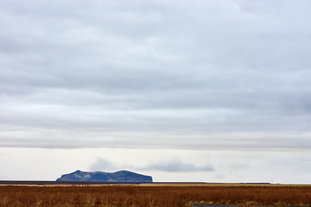 a field with a mountain in the distance