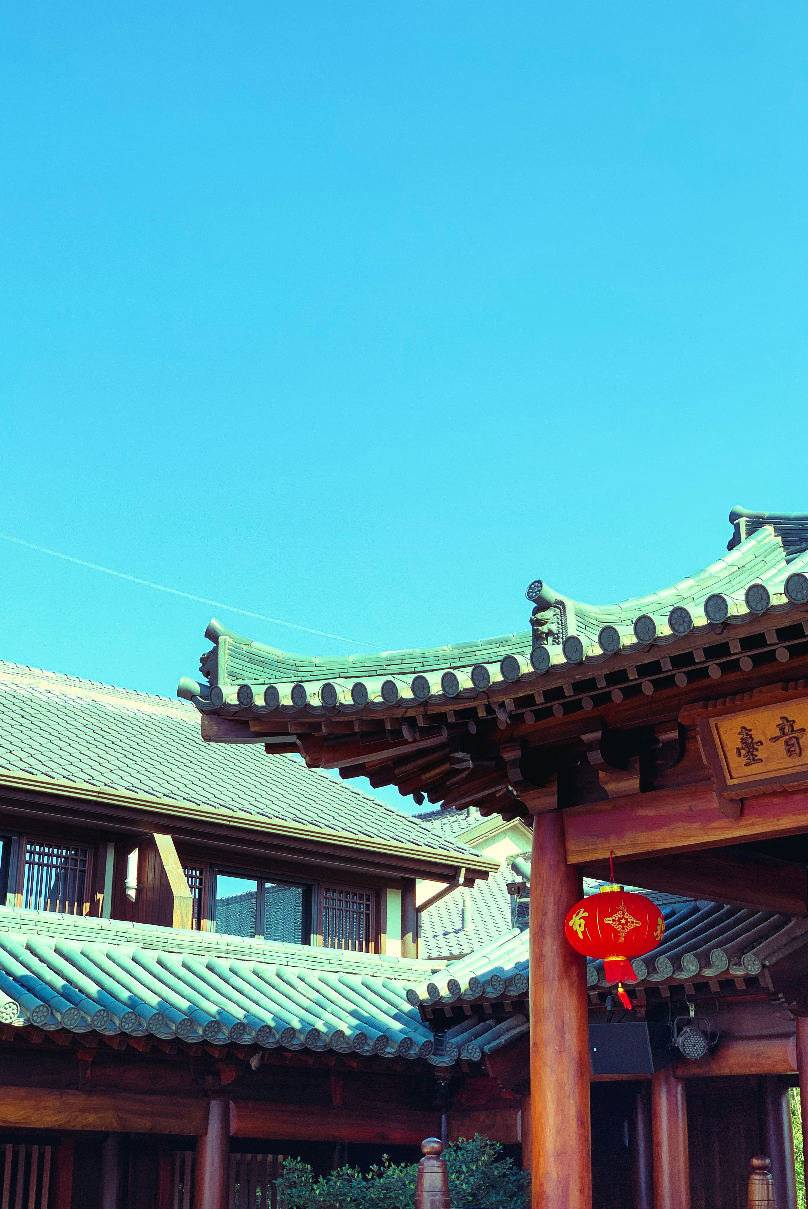 Photo by nanyicheng