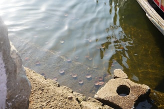 Close-up of a shiny gold coin beside a flowing river under sunlight