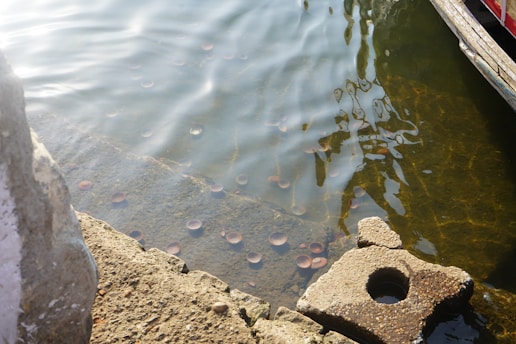 Close-up of a shiny gold coin beside a flowing river under sunlight