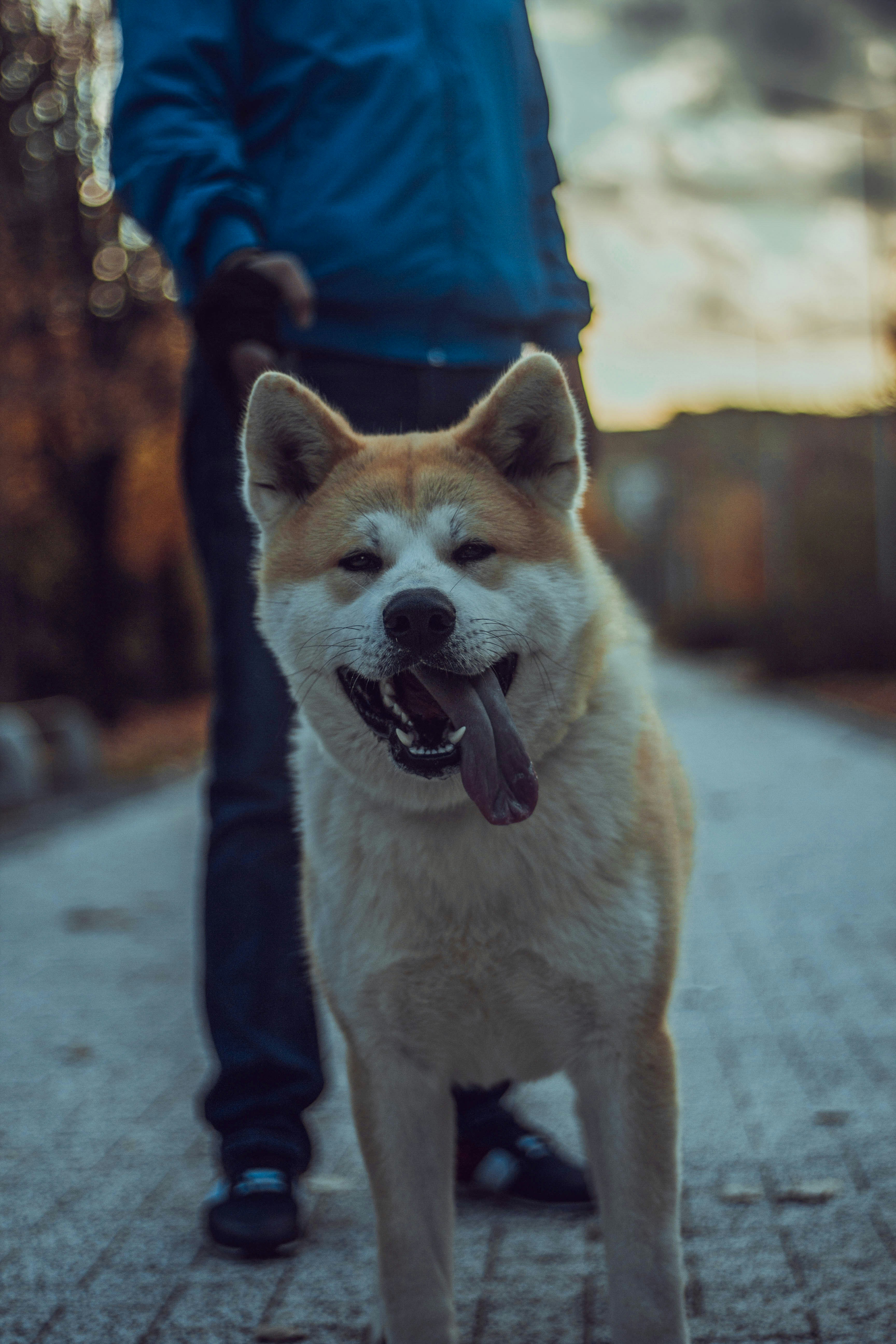 Photo by jraman_jchandran