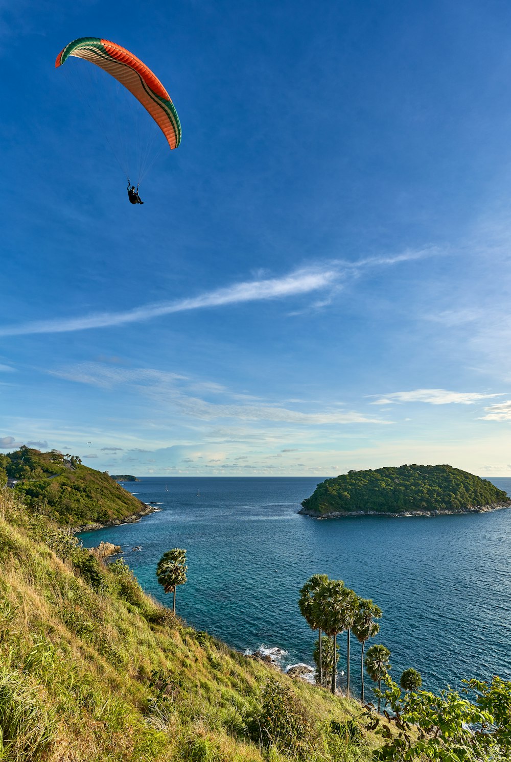 uma pessoa parapente sobre uma encosta verde exuberante ao lado de um corpo de água