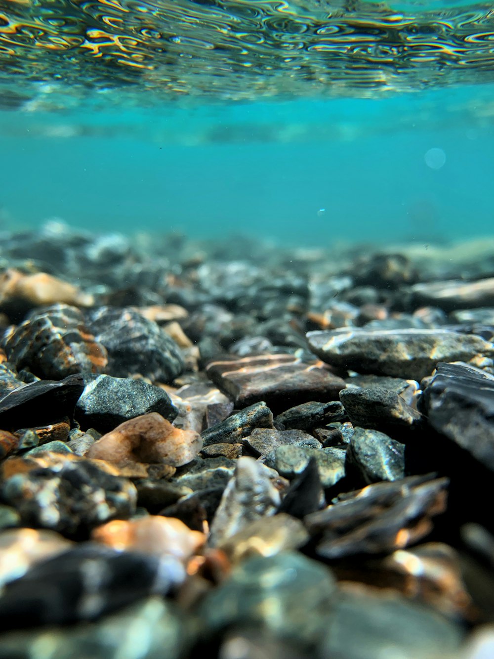 rocks and pebbles under water in the ocean