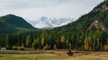 A picturesque landscape featuring snow-capped mountains in the background, surrounded by densely forested hills with a mix of evergreen and deciduous trees. In the foreground, there is a grassy meadow bordered by a wooden fence, with a small red gazebo and a parked white camper van.