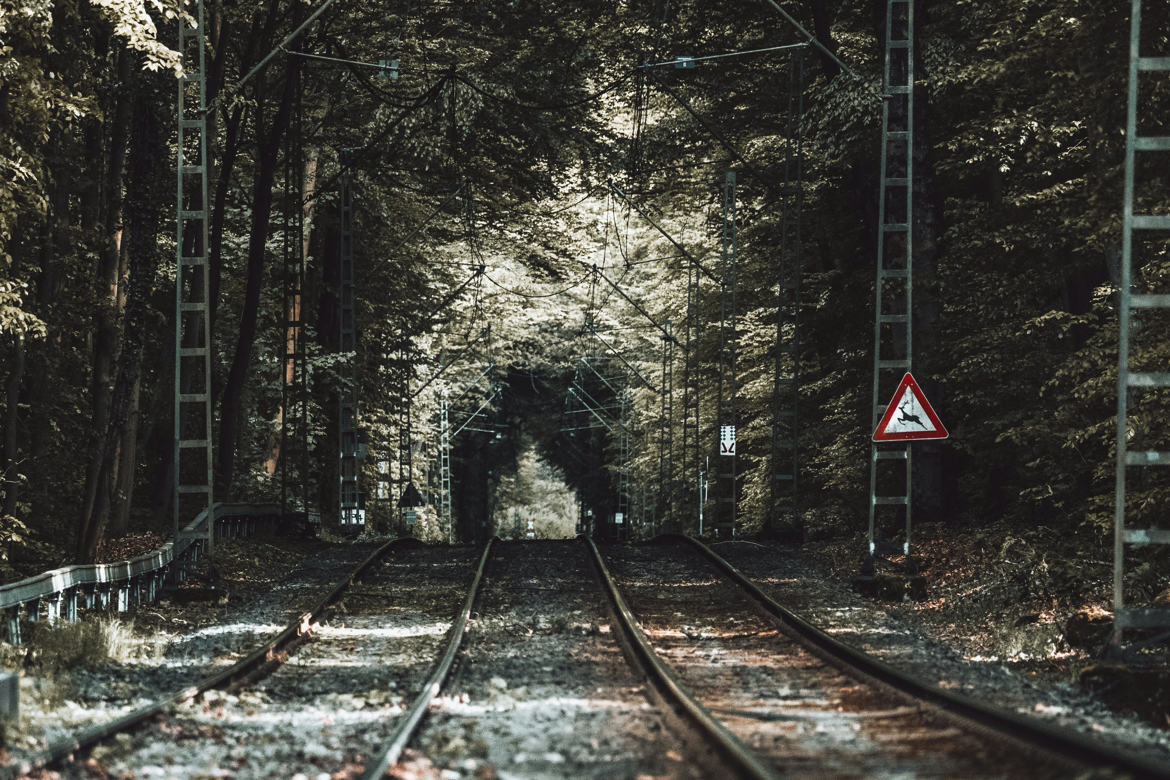 Photo by masoodaslami