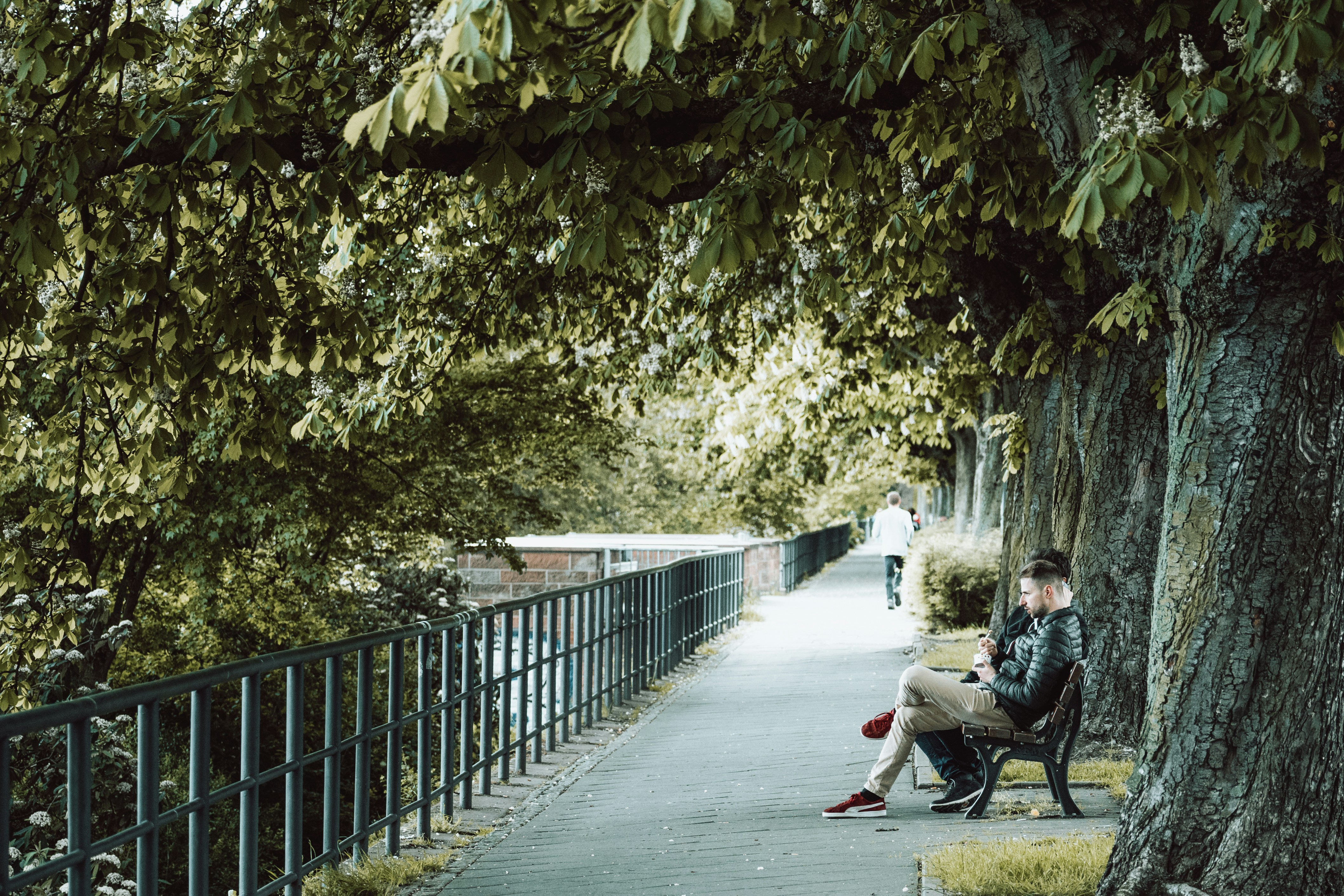 Photo by masoodaslami