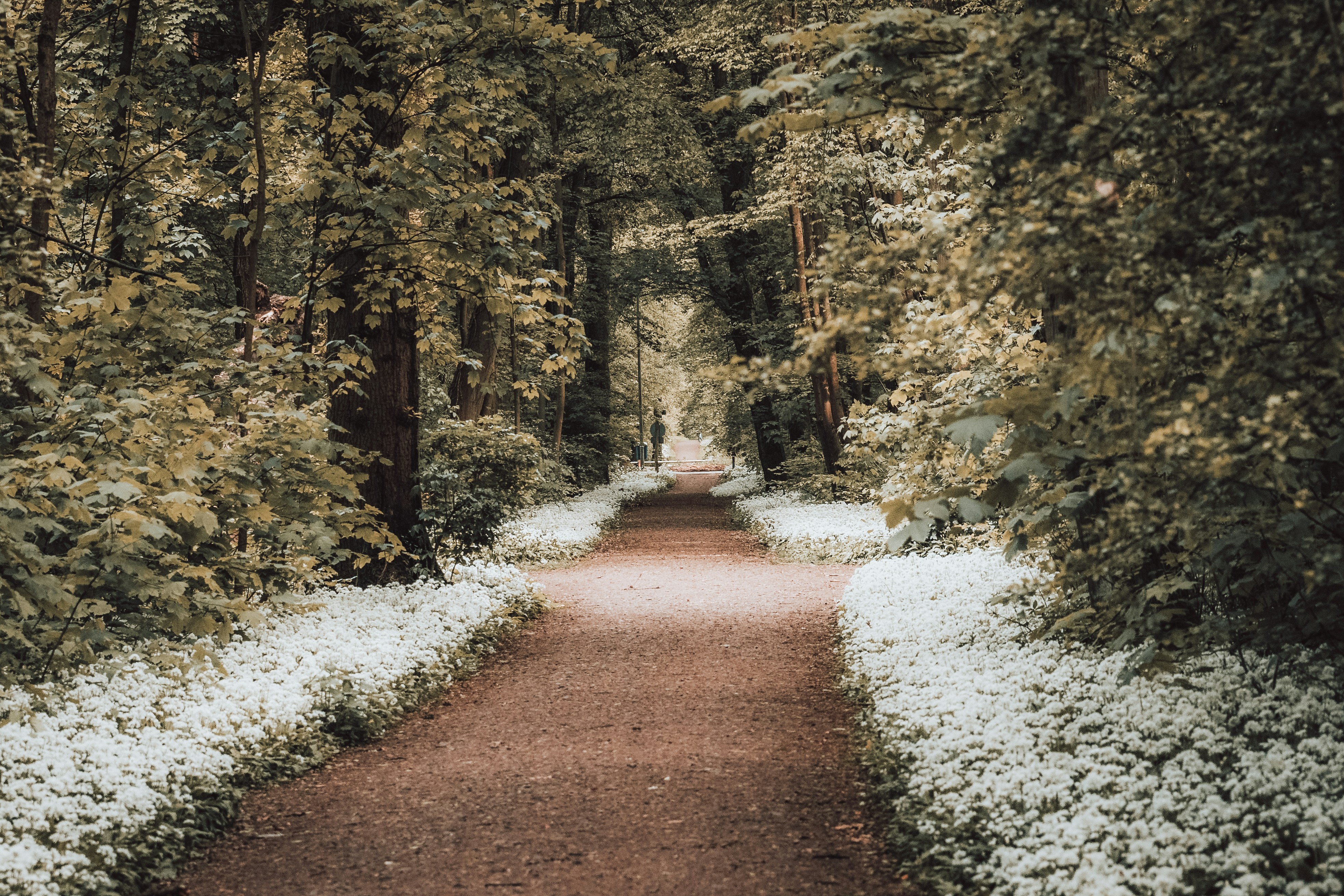 Photo by masoodaslami