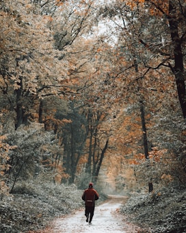 A person in a red jacket is jogging along a forest path surrounded by dense trees with autumn leaves. The ground is covered in a mix of fallen leaves and greenery, creating a serene and peaceful atmosphere. The canopy of trees forms a tunnel effect above the path.
