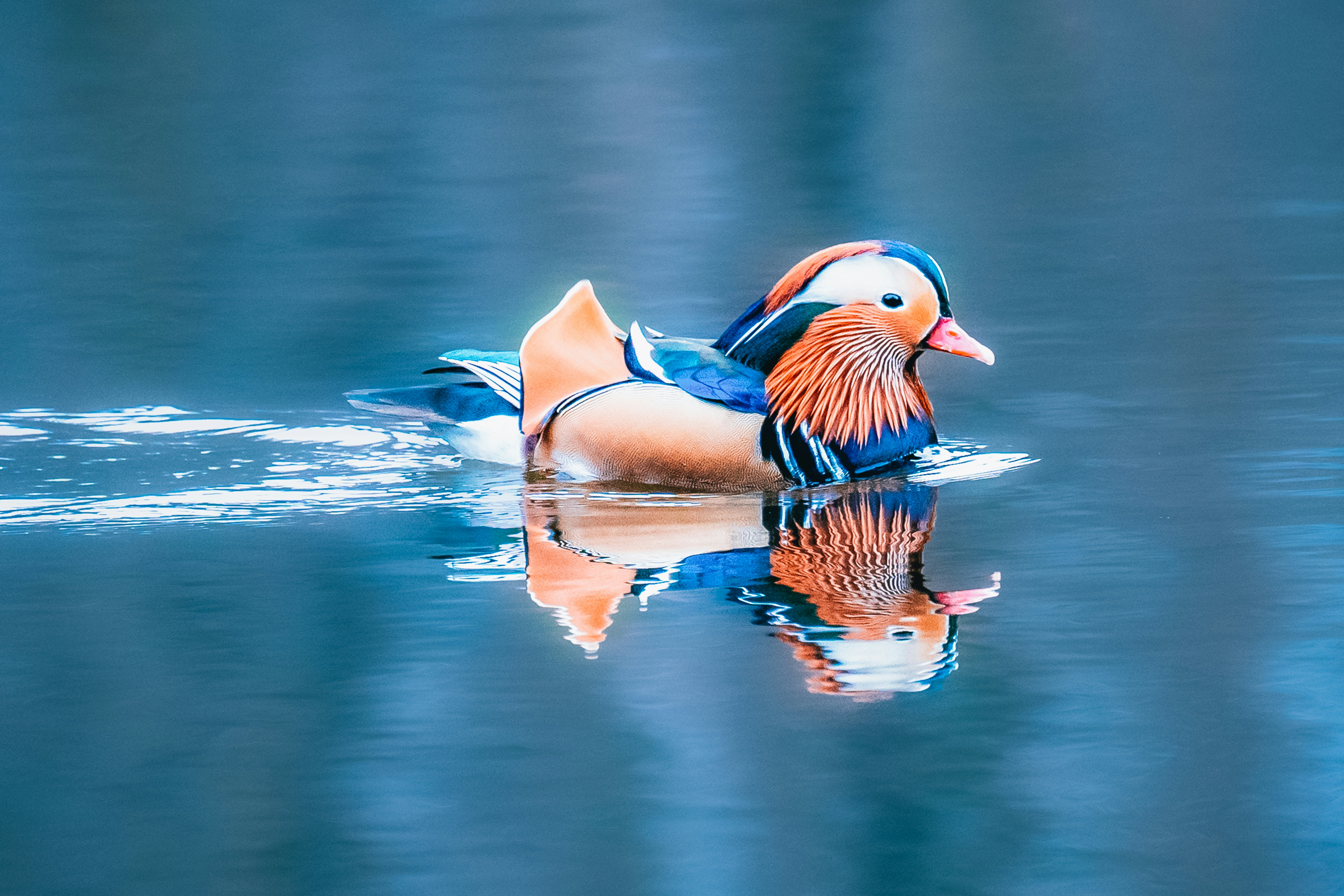 Photo by masoodaslami