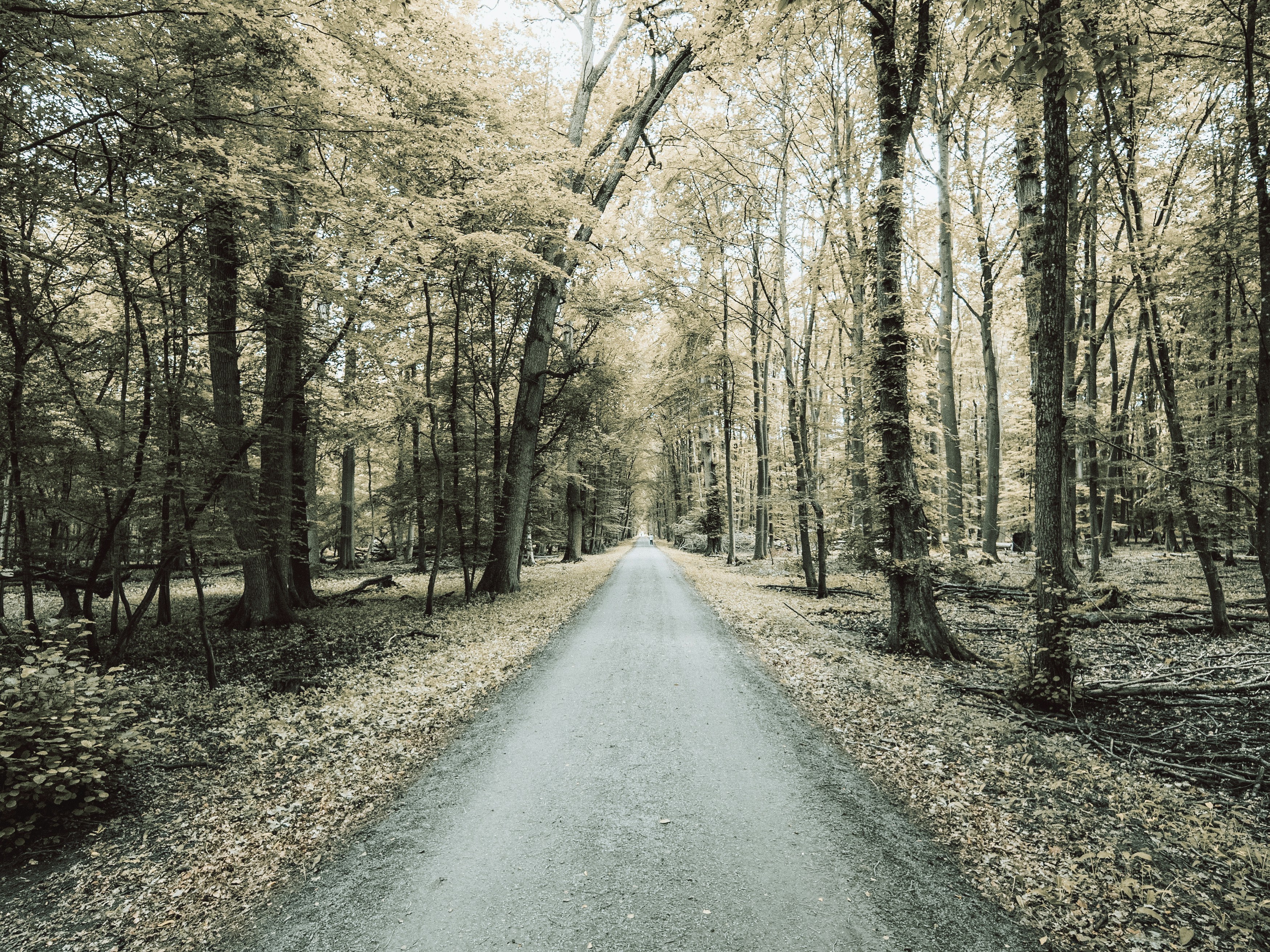 Photo by masoodaslami