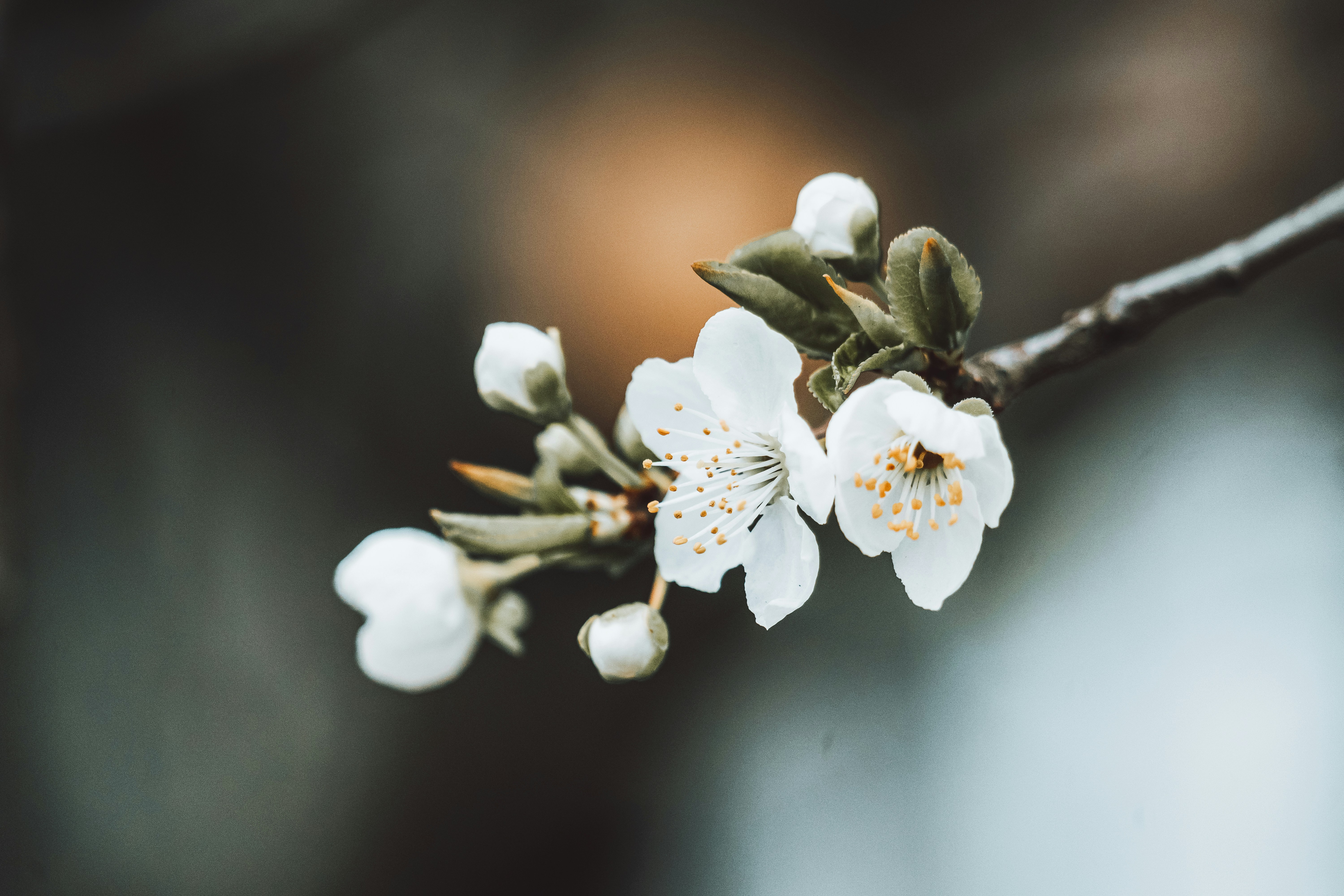 Photo by masoodaslami