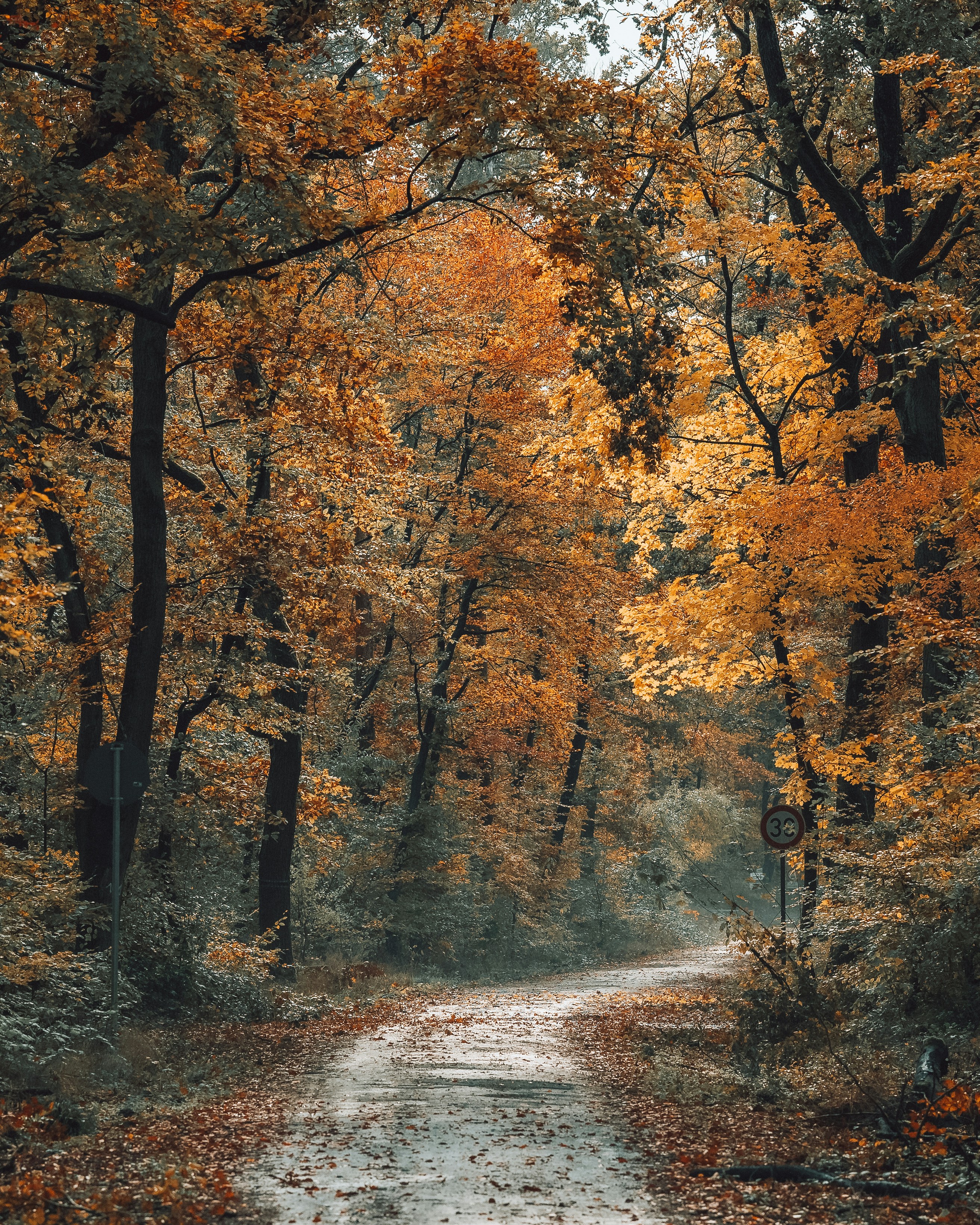 Photo by masoodaslami