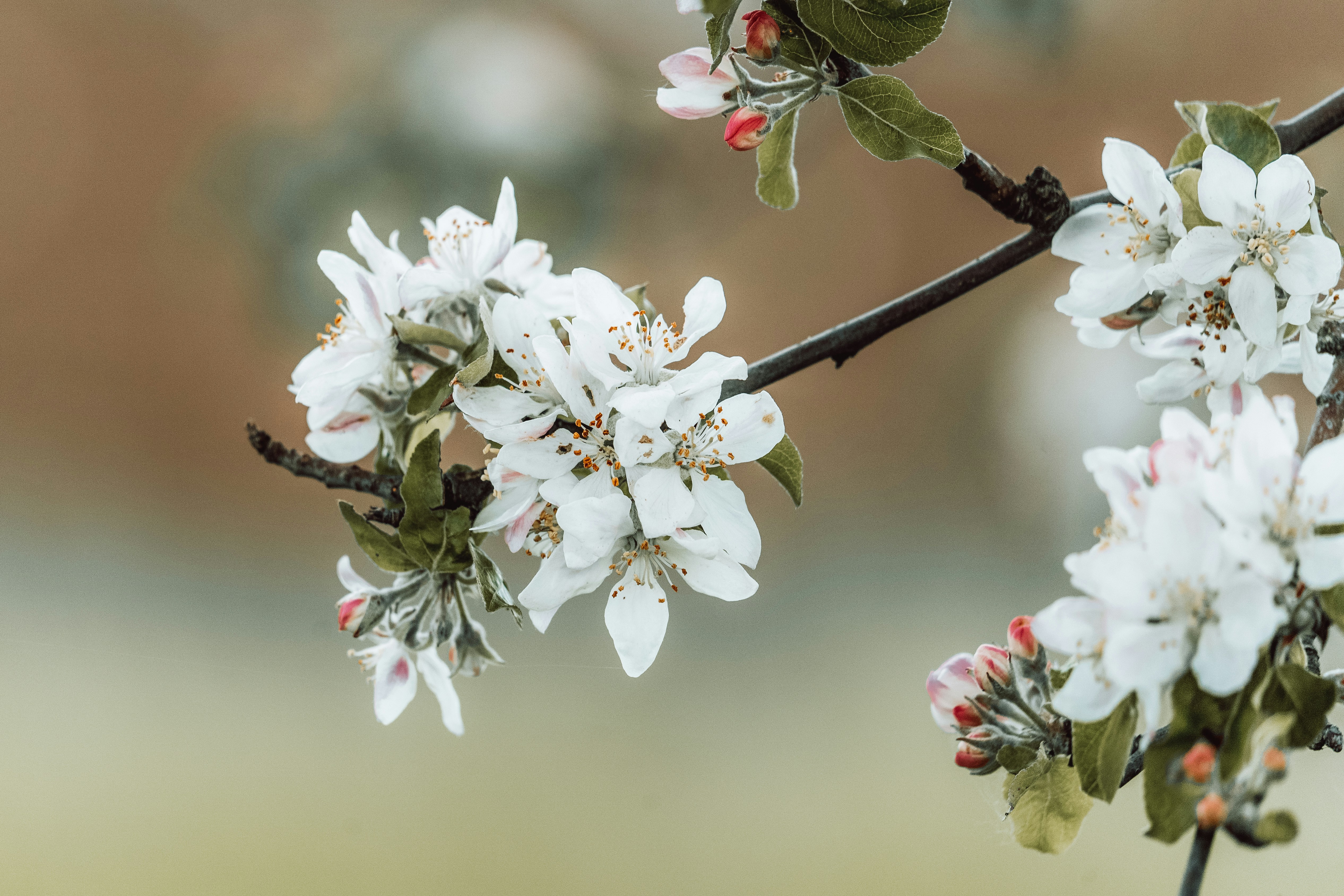 Photo by masoodaslami