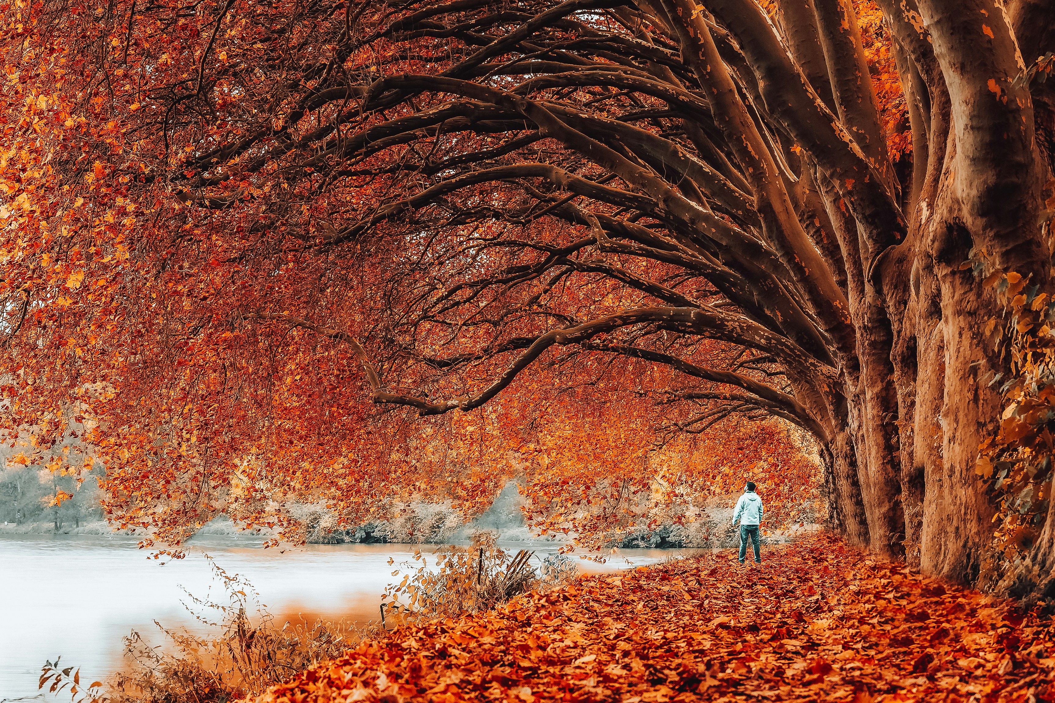 Photo by masoodaslami