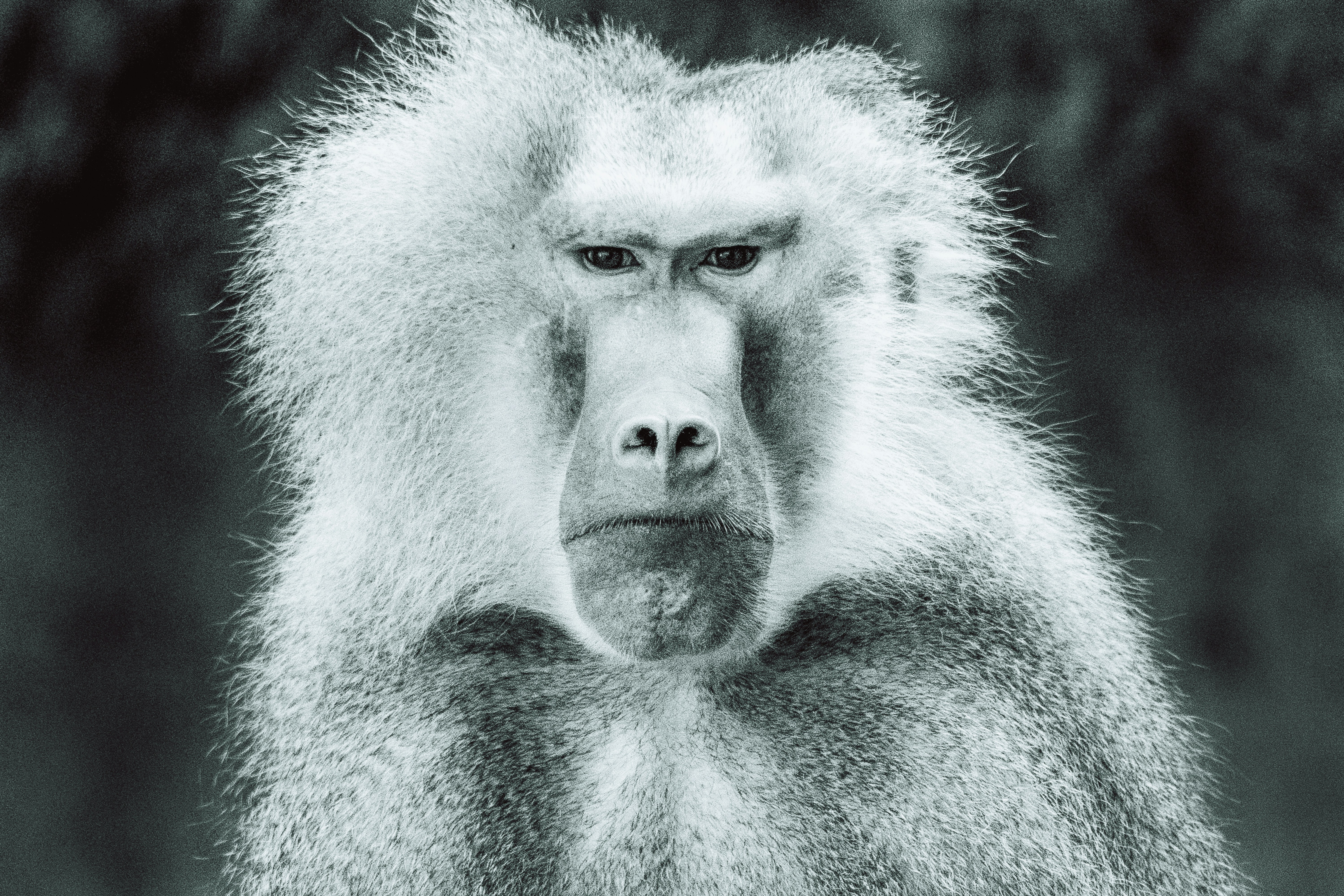 Photo by masoodaslami