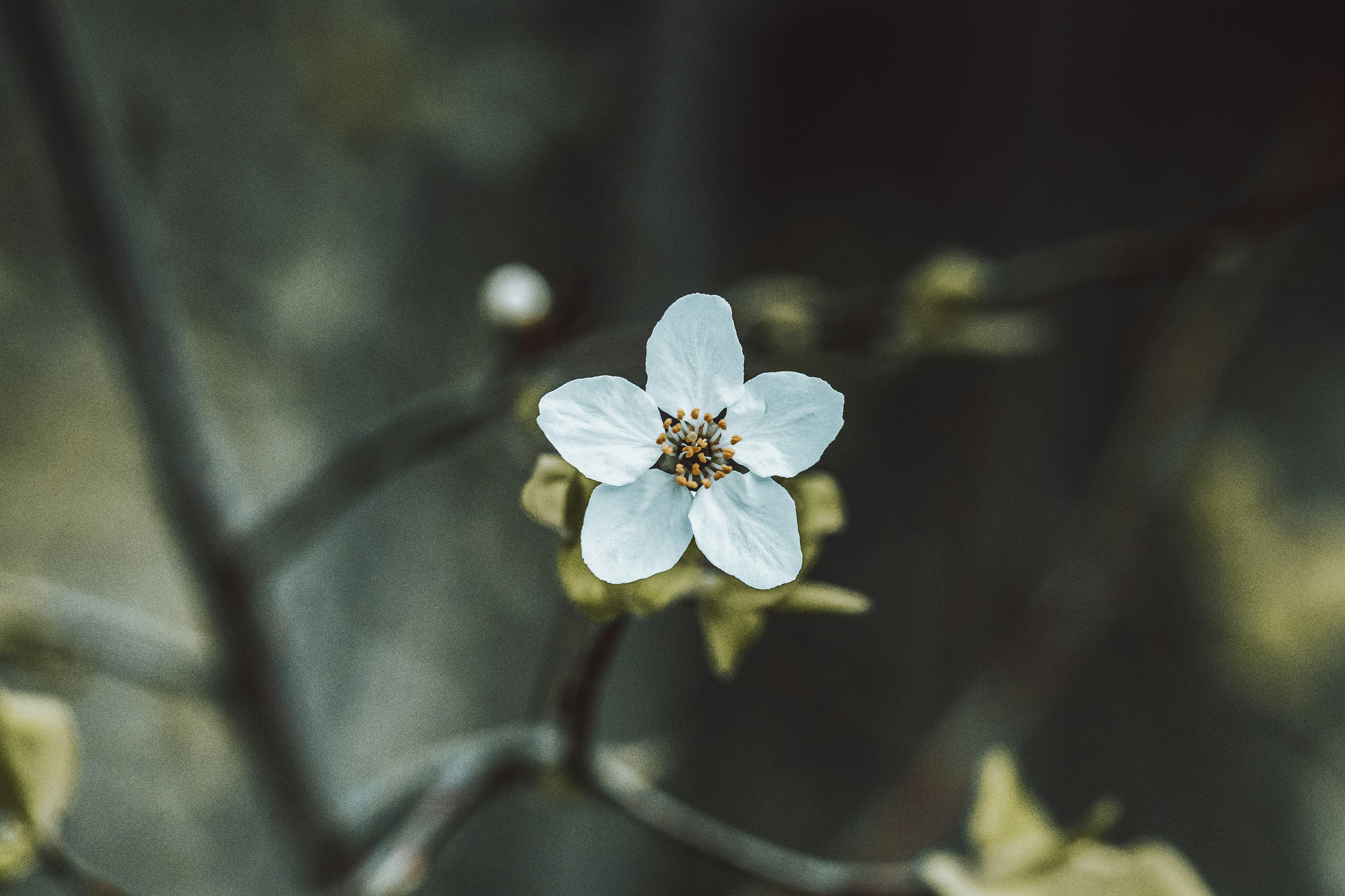 Photo by masoodaslami