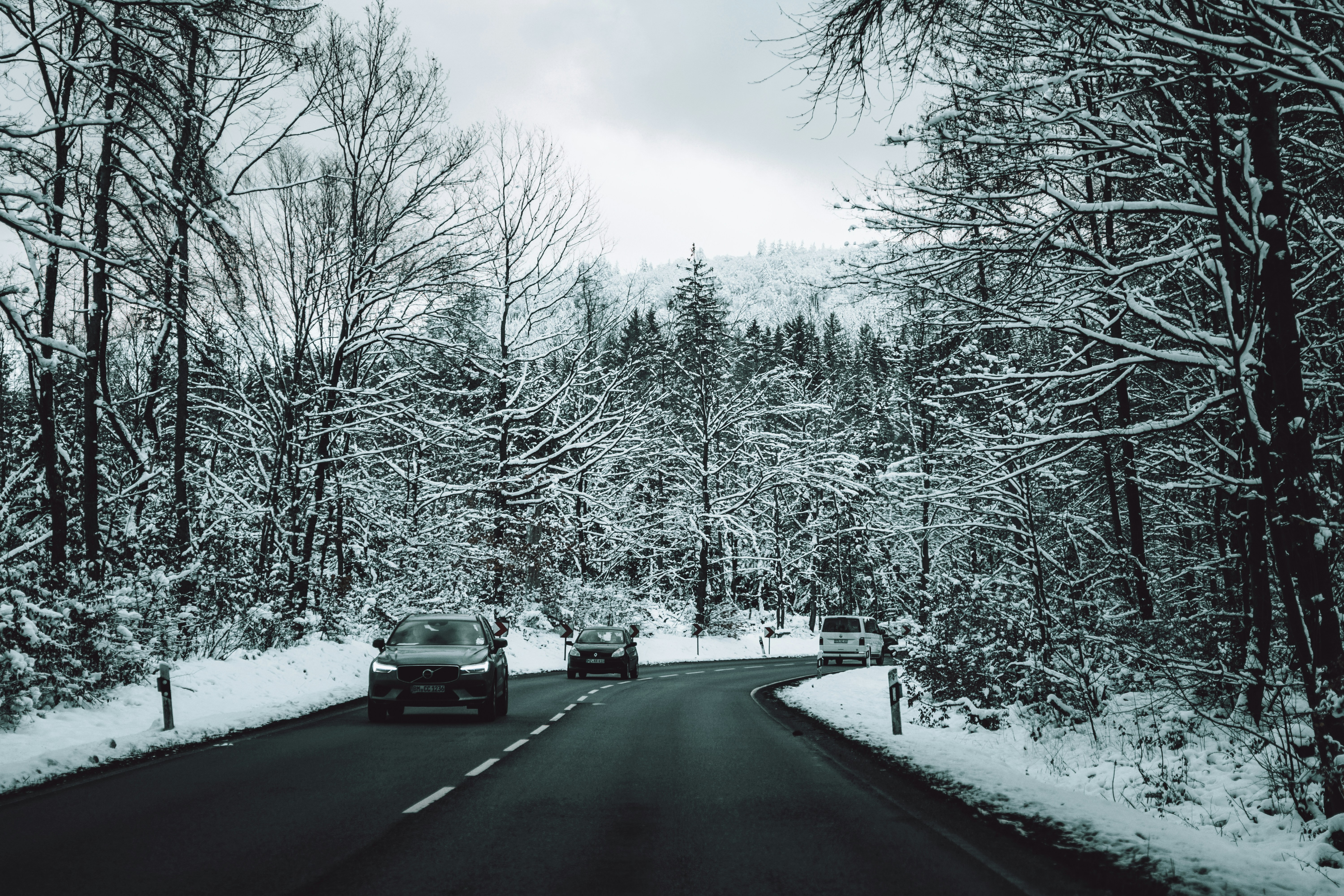 Photo by masoodaslami