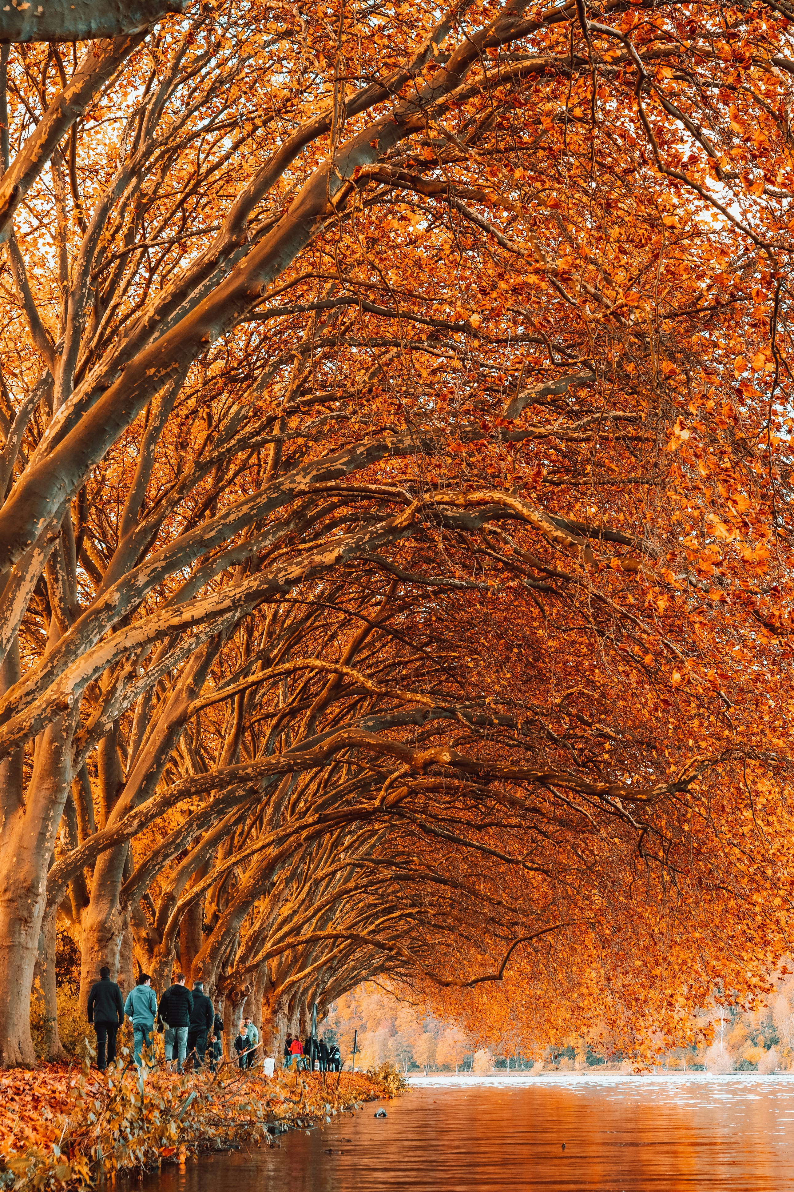 Photo by masoodaslami