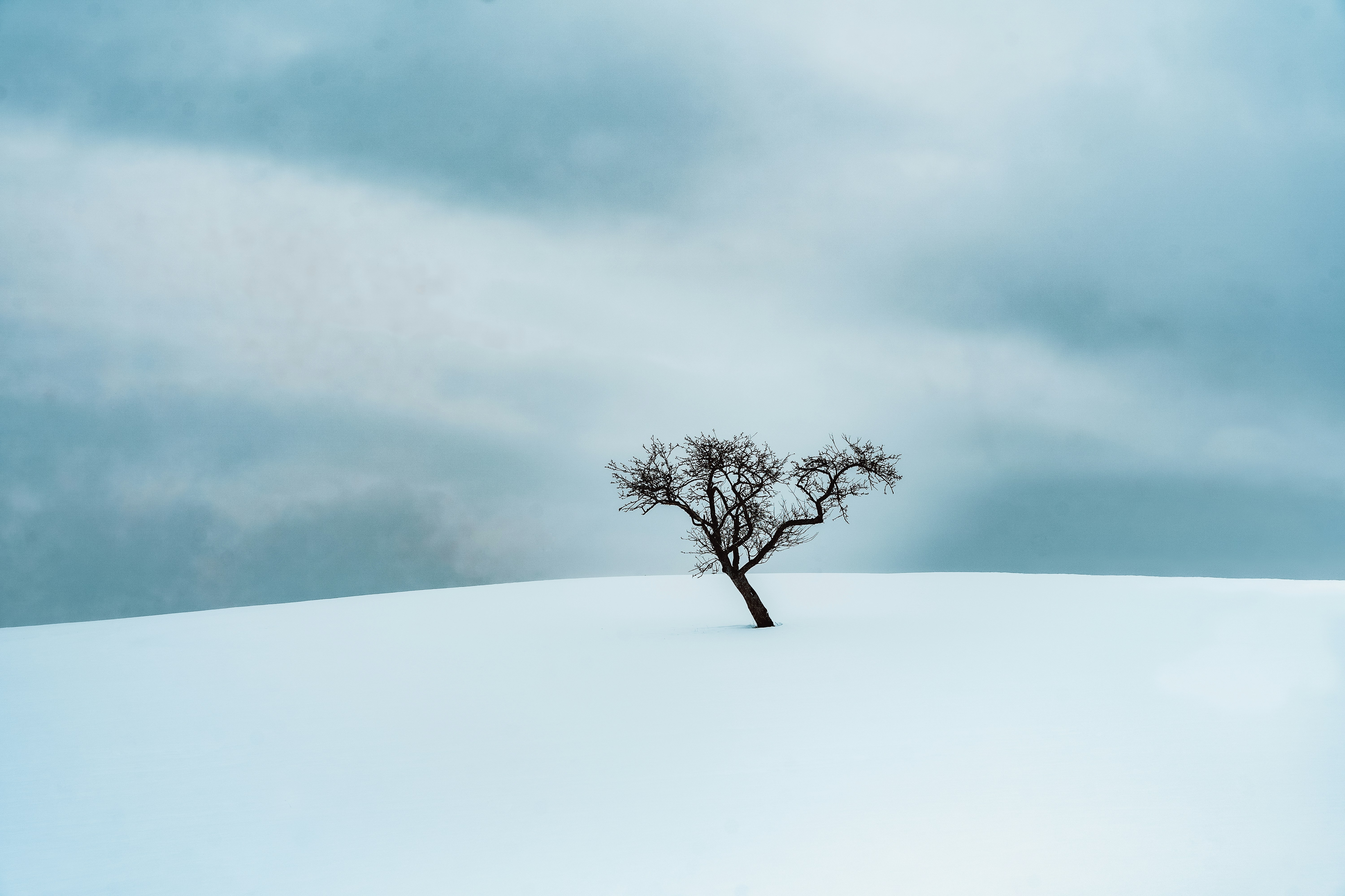 Photo by masoodaslami