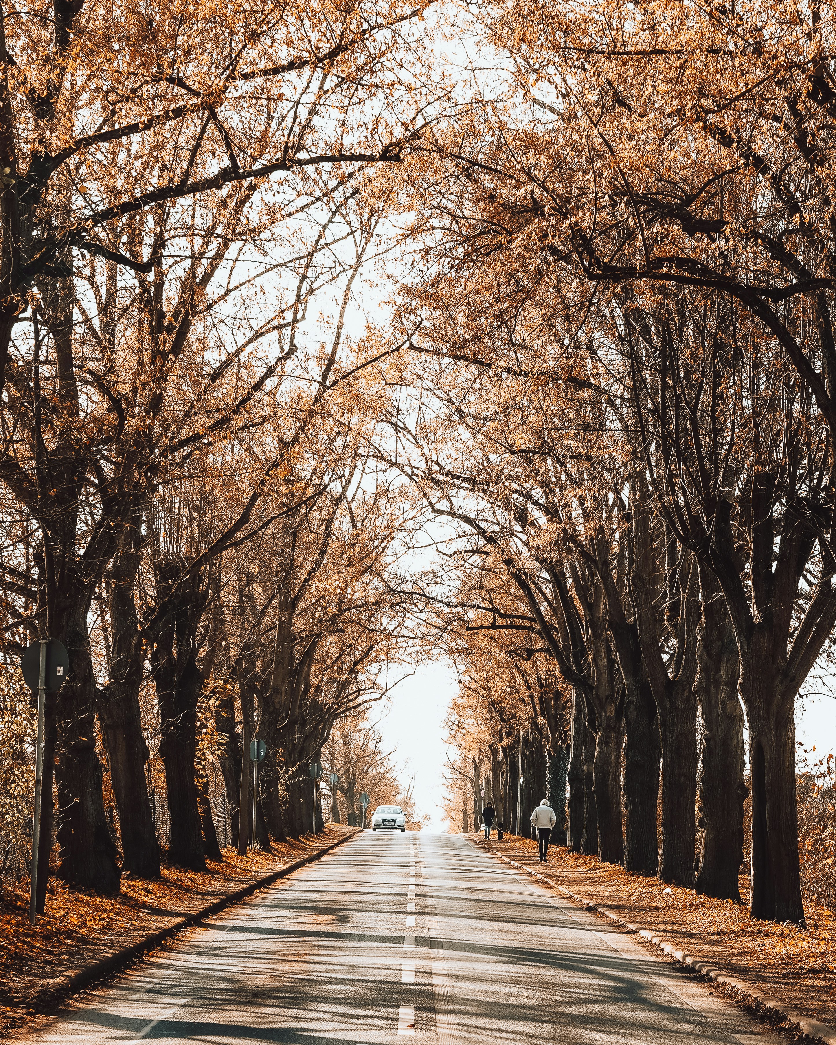 Photo by masoodaslami