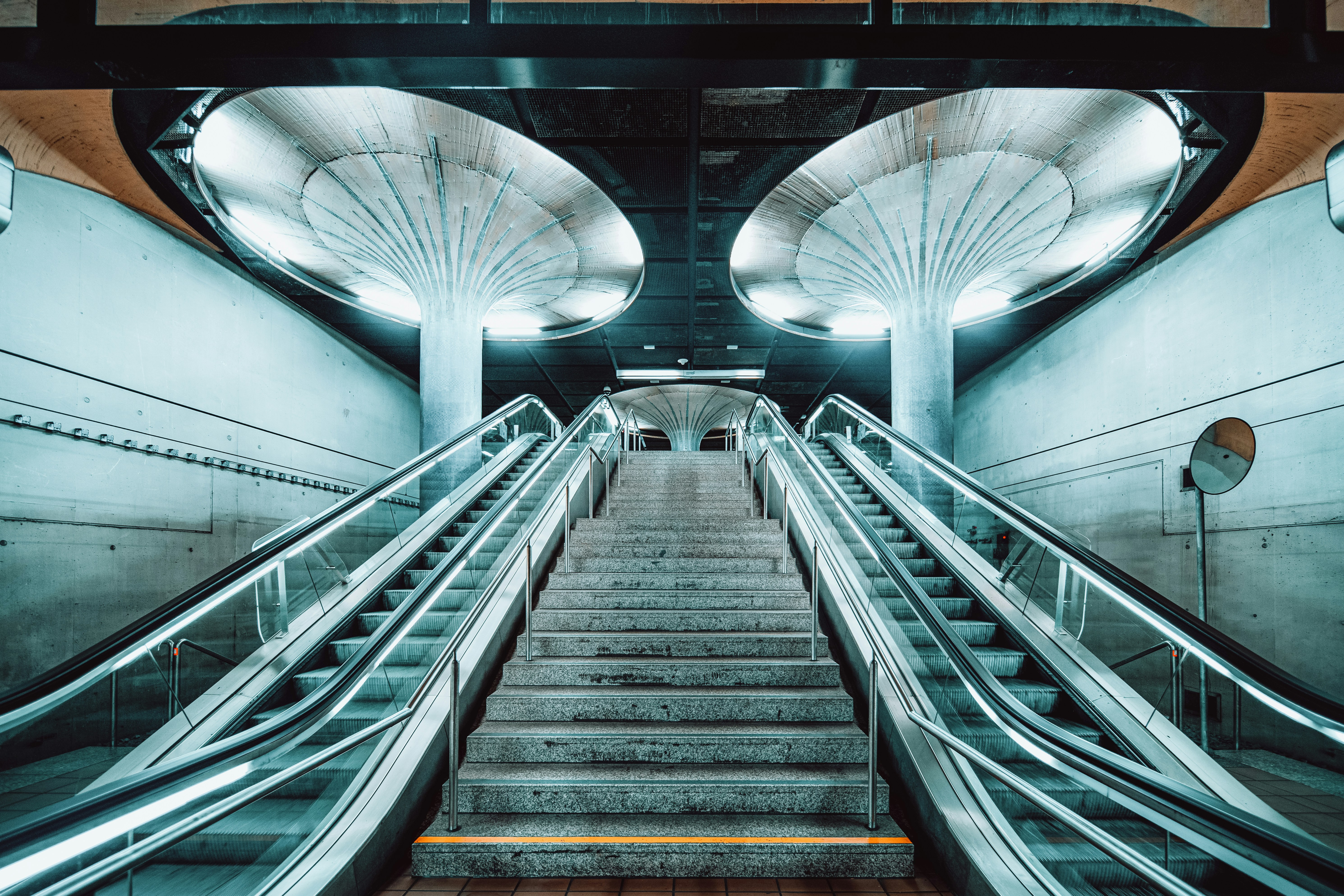 Photo by masoodaslami