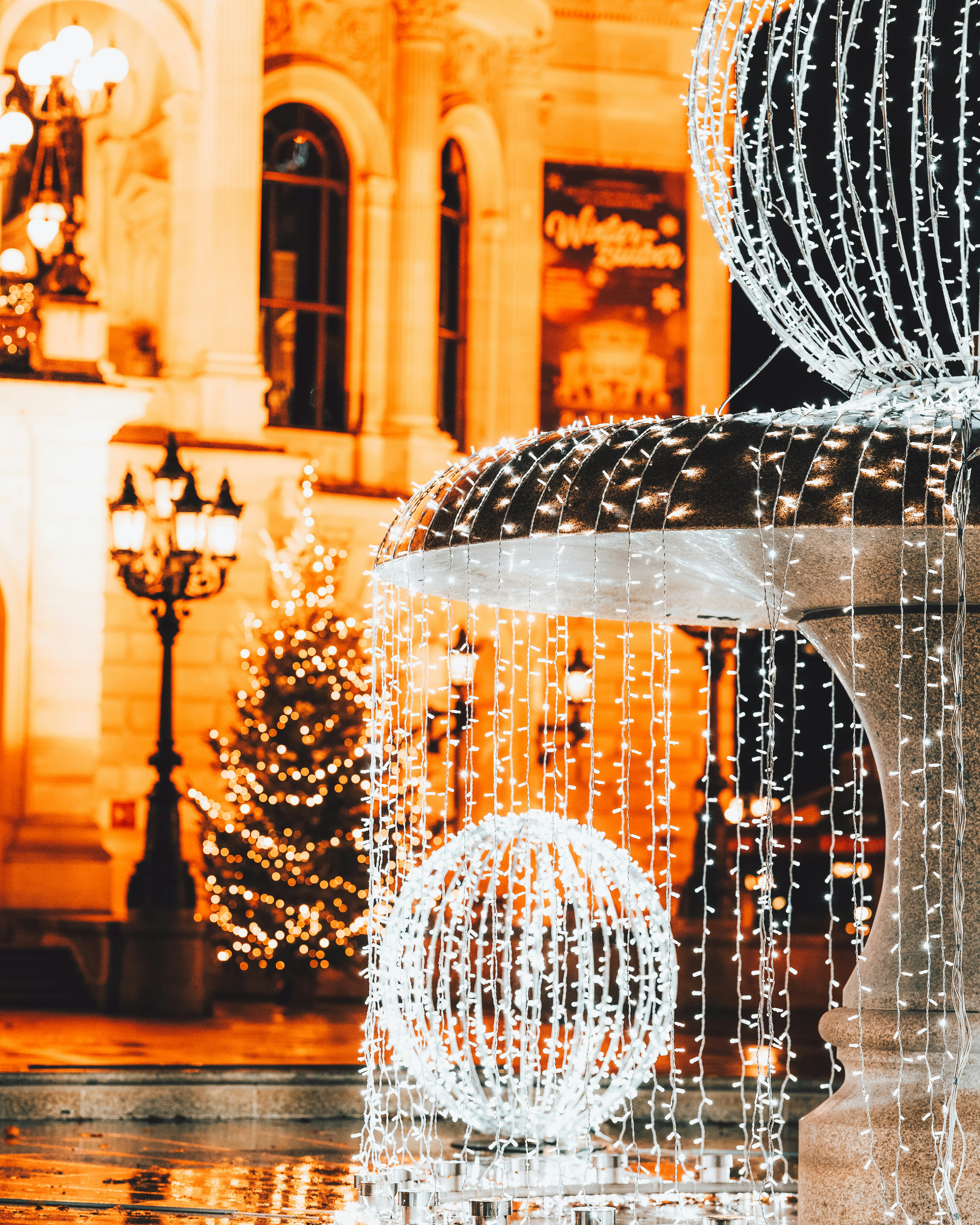 Photo by masoodaslami