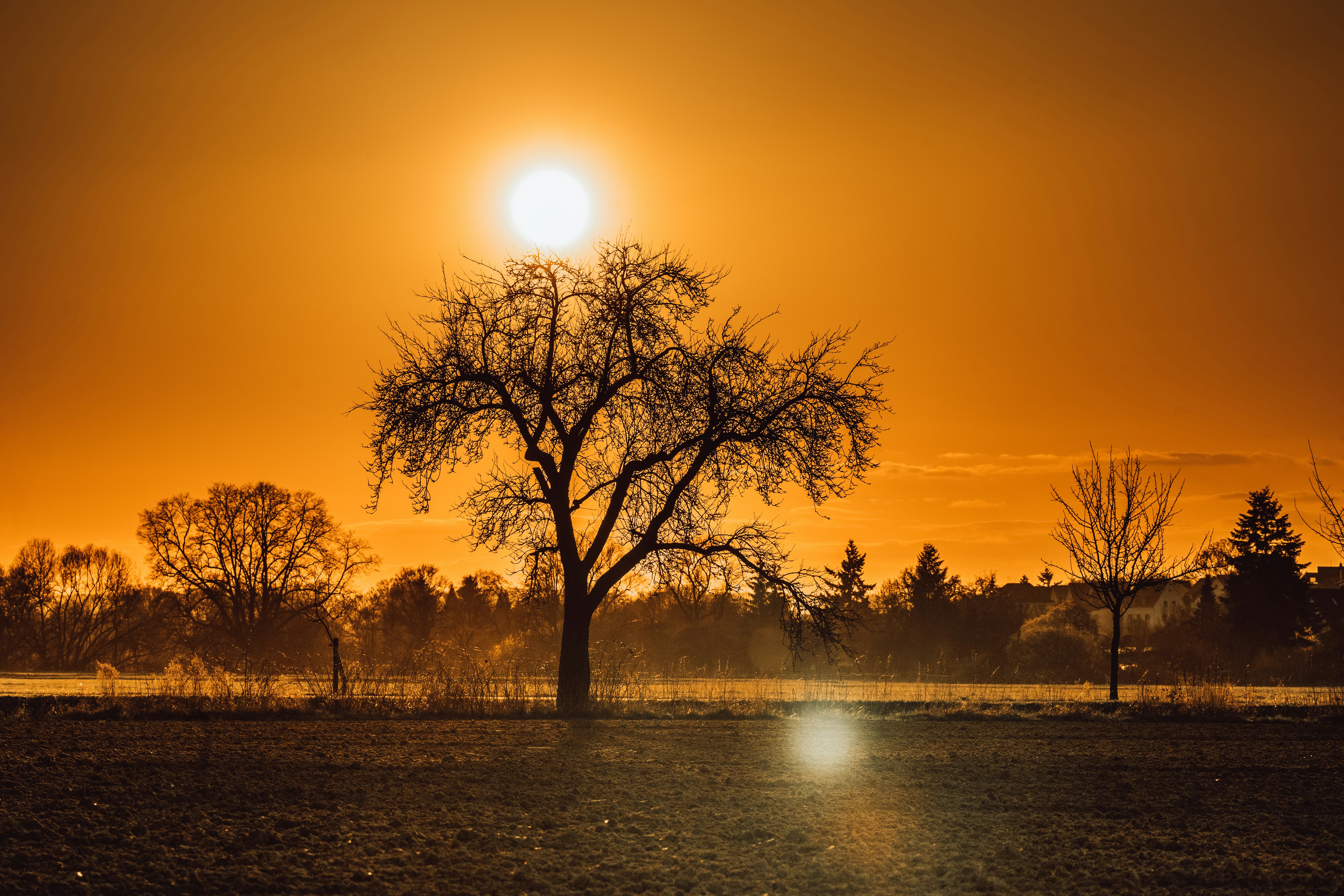 Photo by masoodaslami