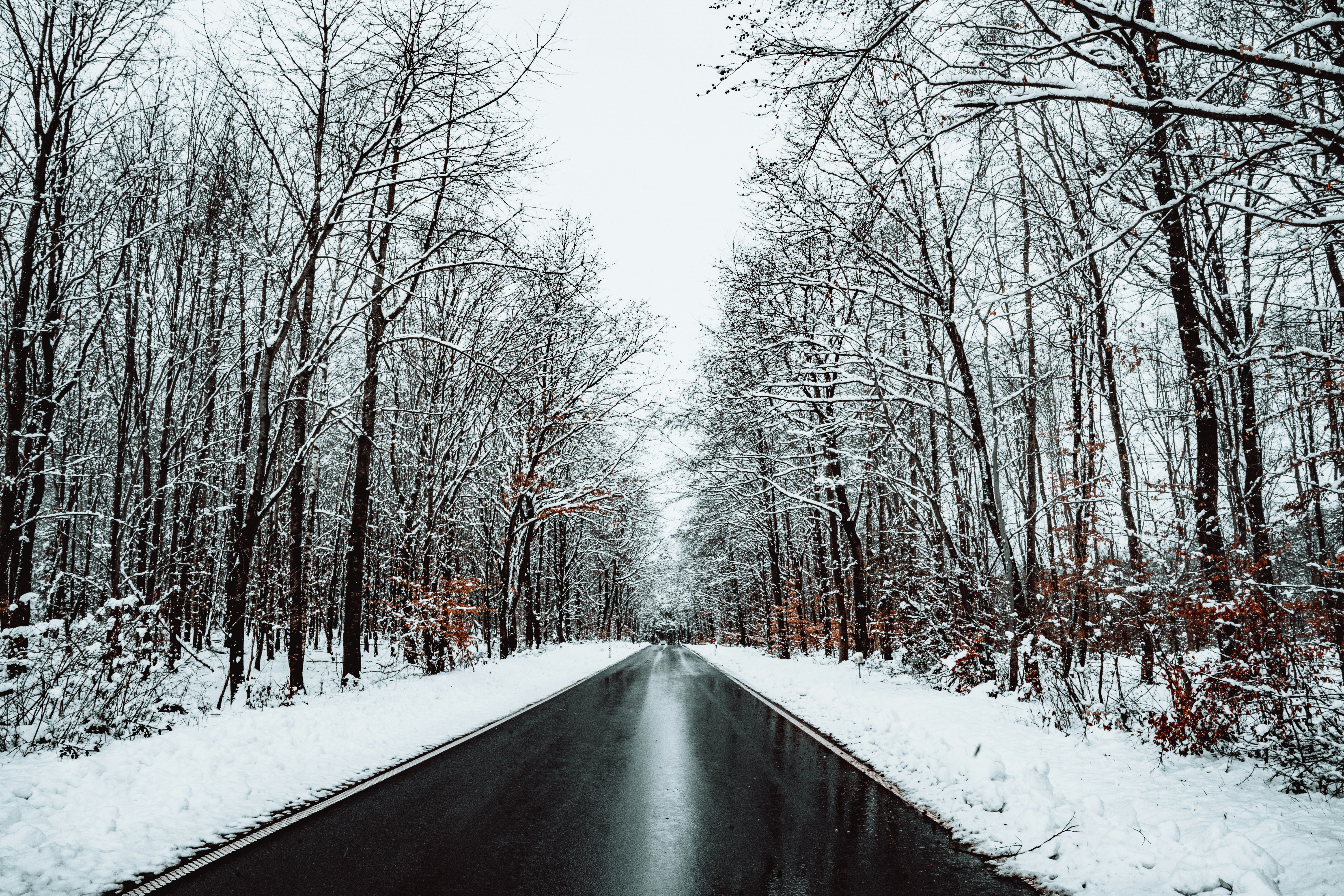 Photo by masoodaslami