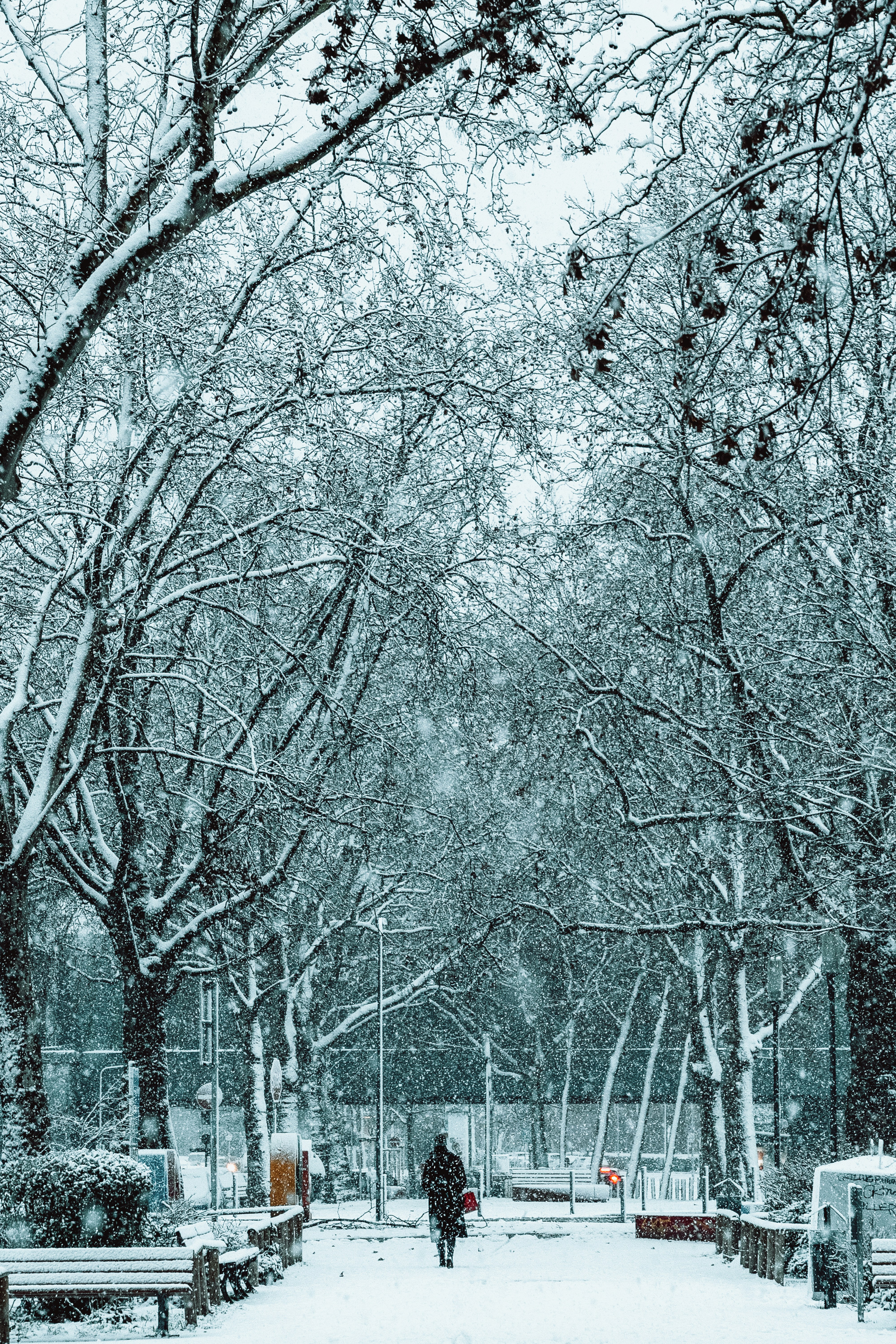 Photo by masoodaslami