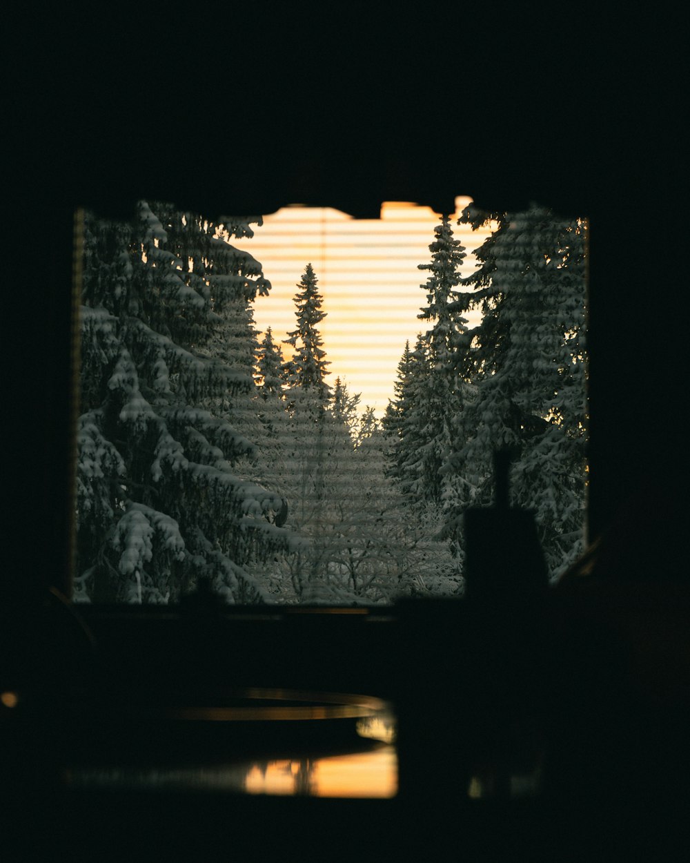 a view of a forest through a window