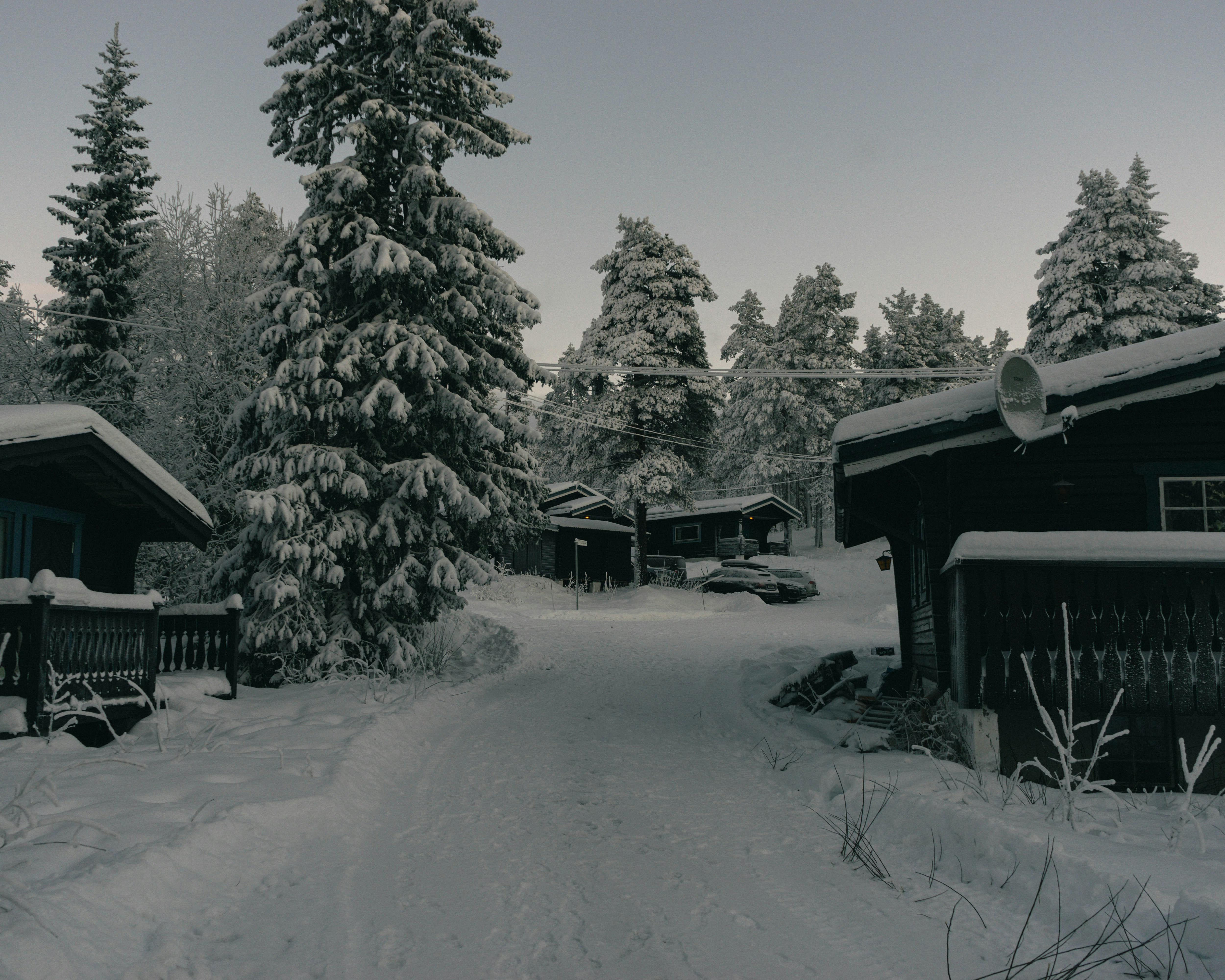 Snow covered road in front of houses