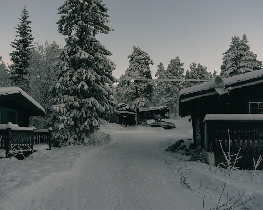 a snow covered road in front of a row of houses