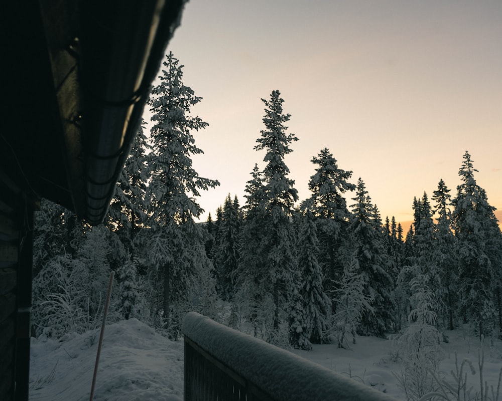 Blick auf einen schneebedeckten Wald von einer Veranda