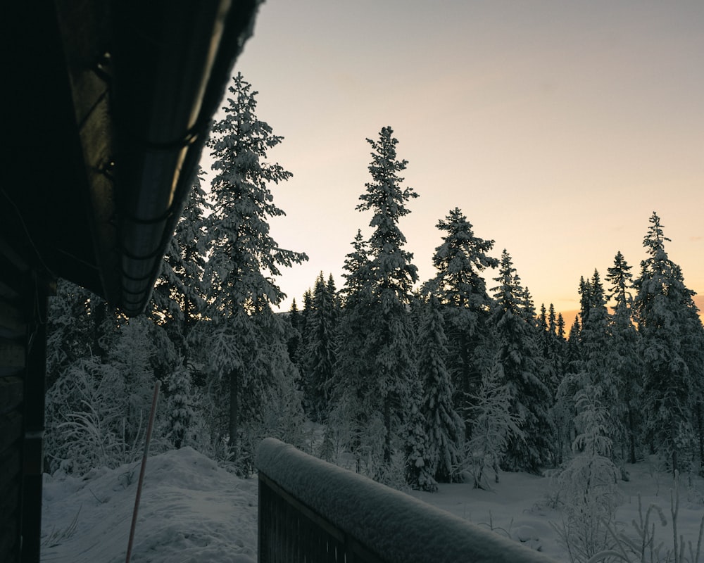 a view of a snow covered forest from a porch