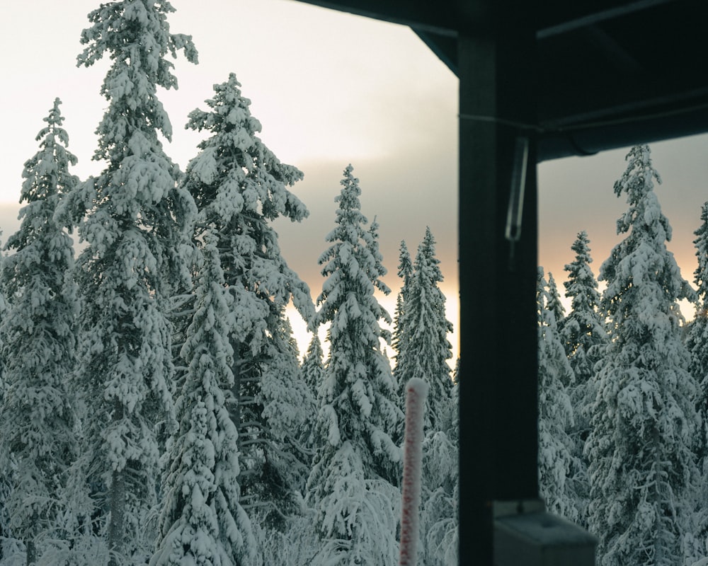 a view of snow covered trees from a porch