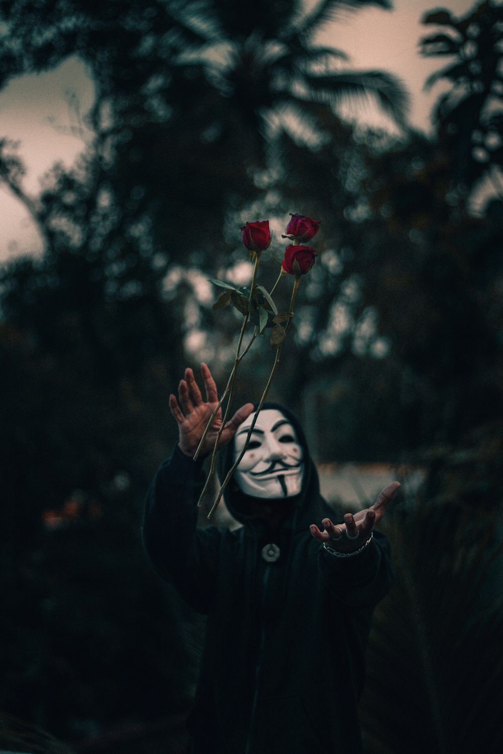 a person wearing a mask and holding a rose