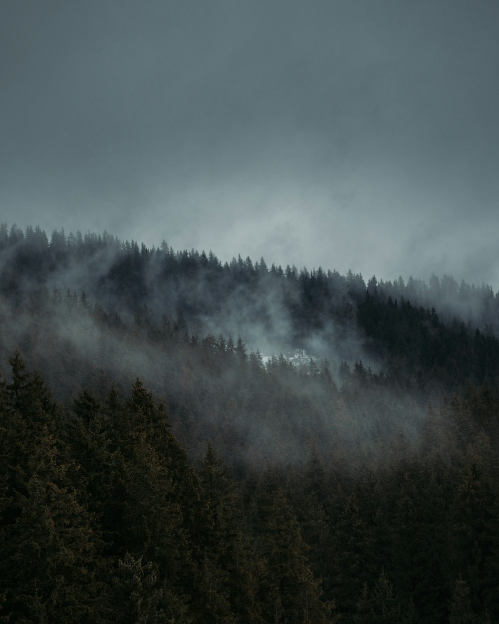 a mountain covered in fog with trees in the foreground