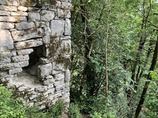 A sturdy stone privacy wall with a built-in sitting area surrounded by lush greenery.