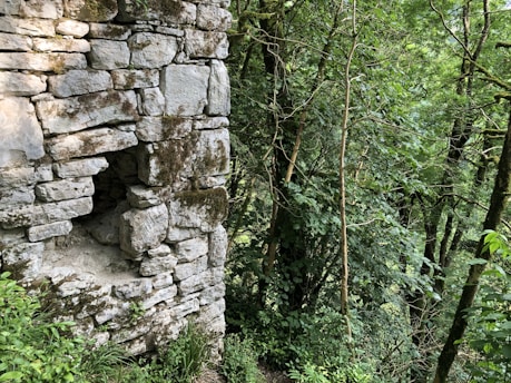 A sturdy stone privacy wall with a built-in sitting area surrounded by lush greenery.
