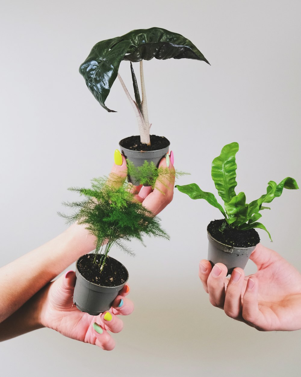 a couple of people holding plants in their hands